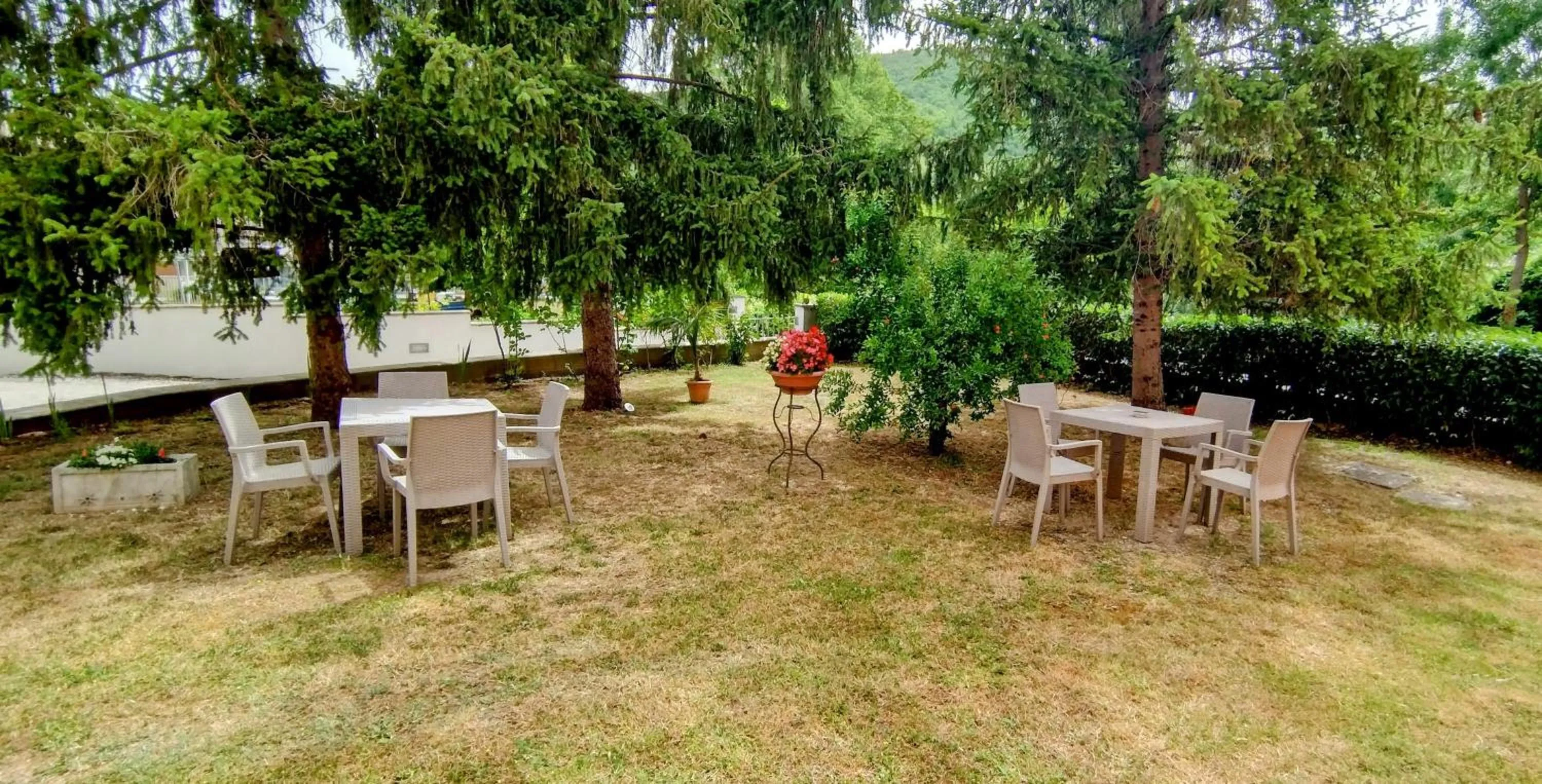 Garden in B&B Vetralla