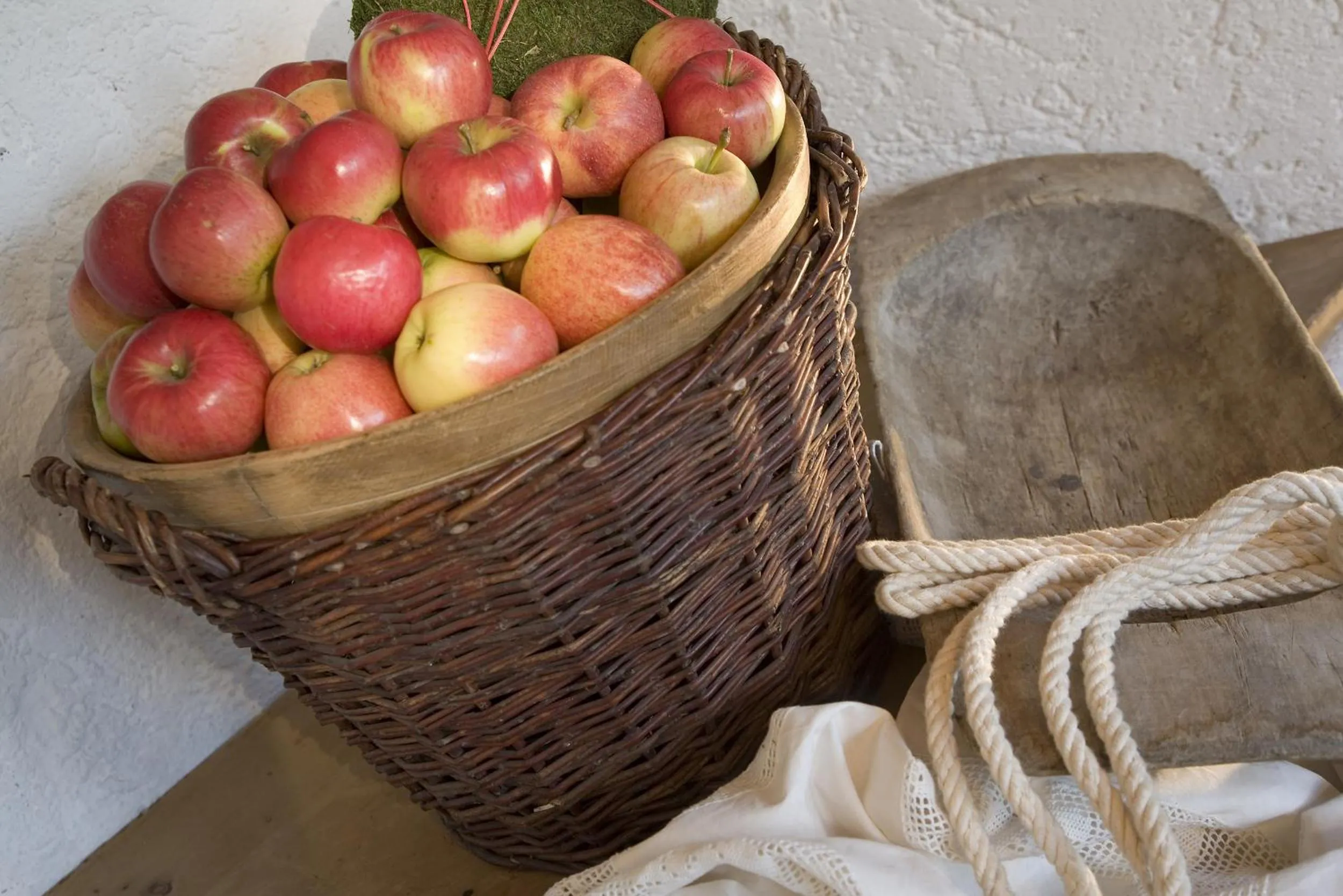 Other in Hotel Bruno