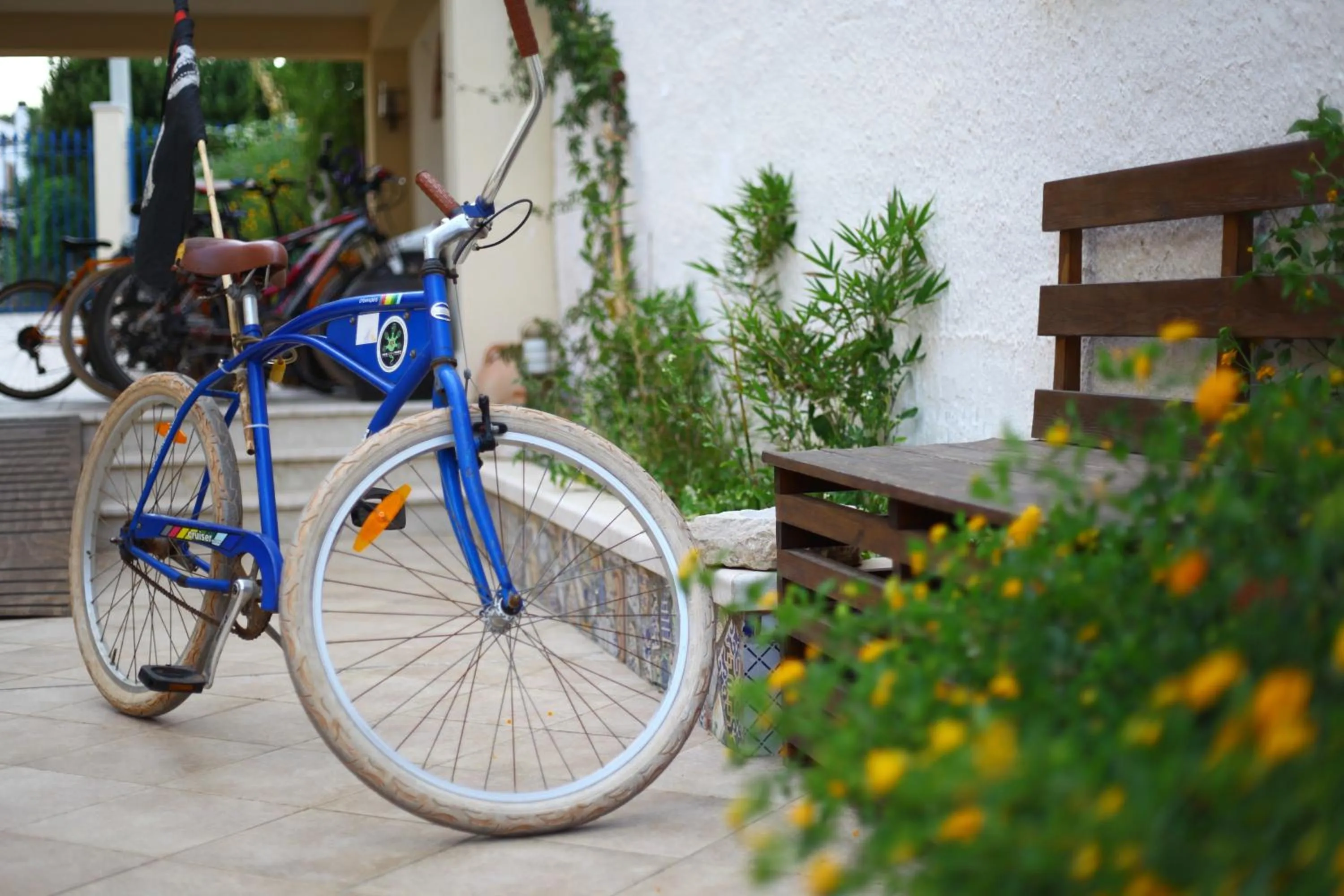 Garden in Timbuktu Hostel
