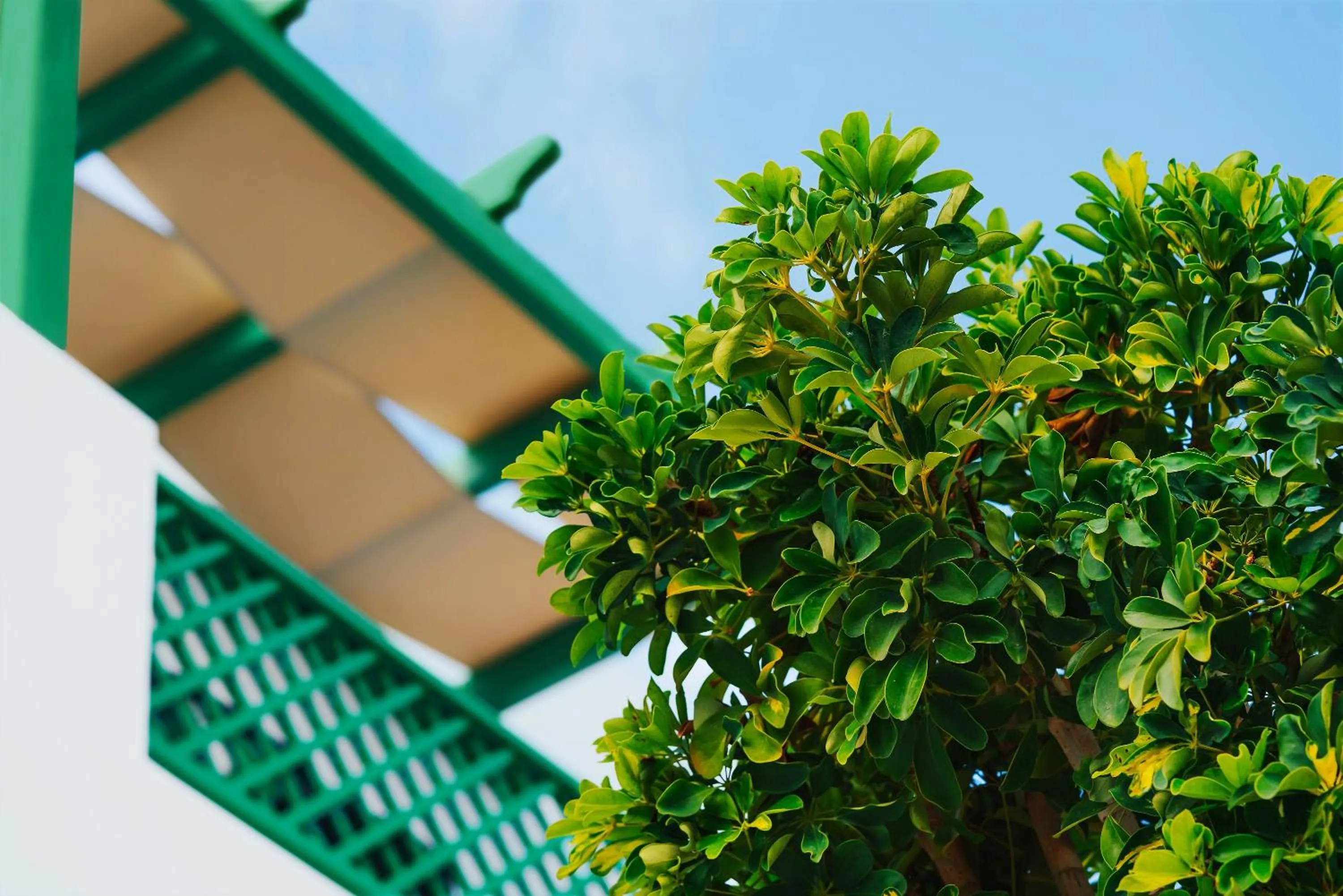 Property building in Aelia Apartments & Suites