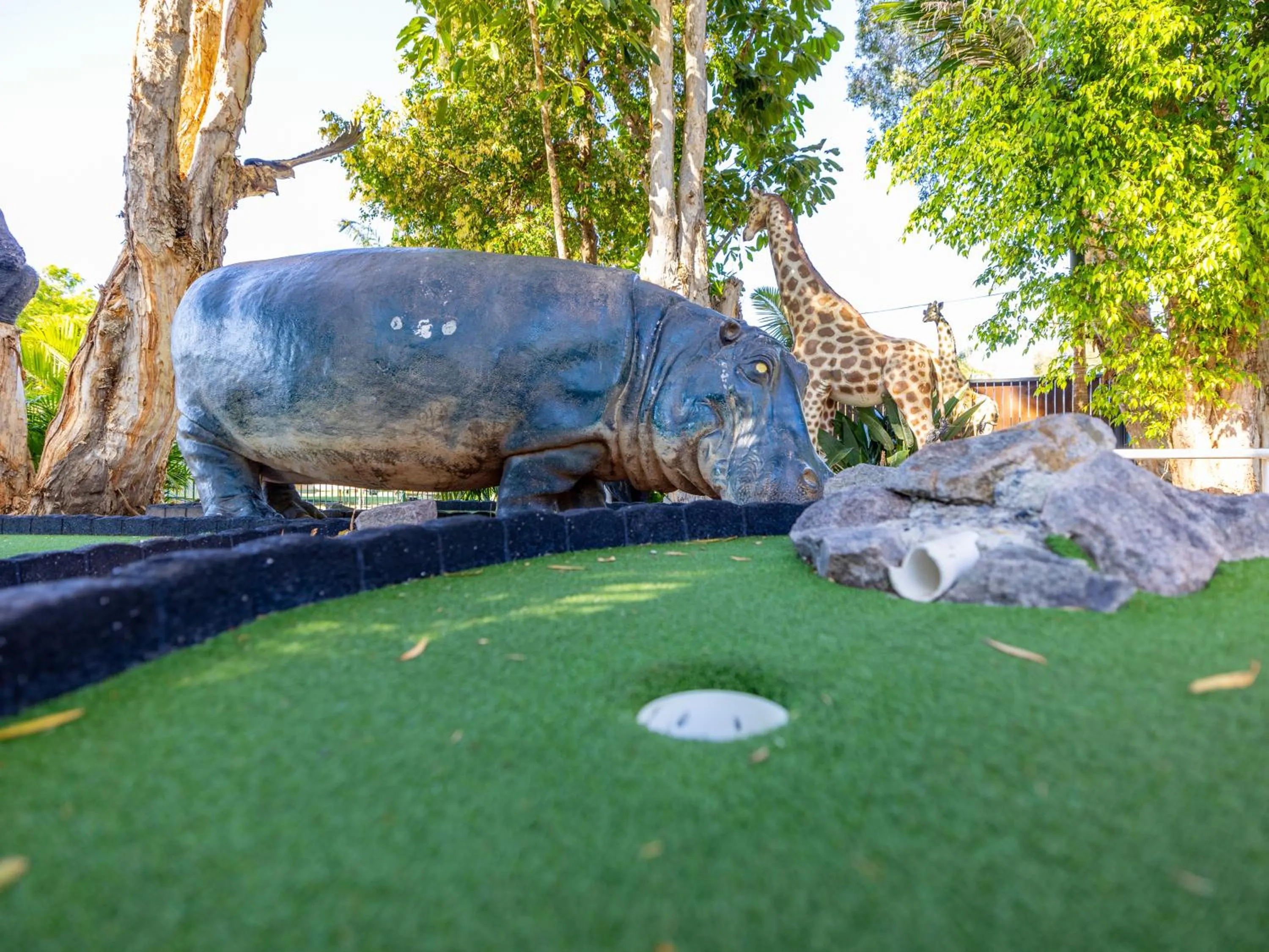 Activities in NRMA Blue Dolphin Yamba Holiday Resort