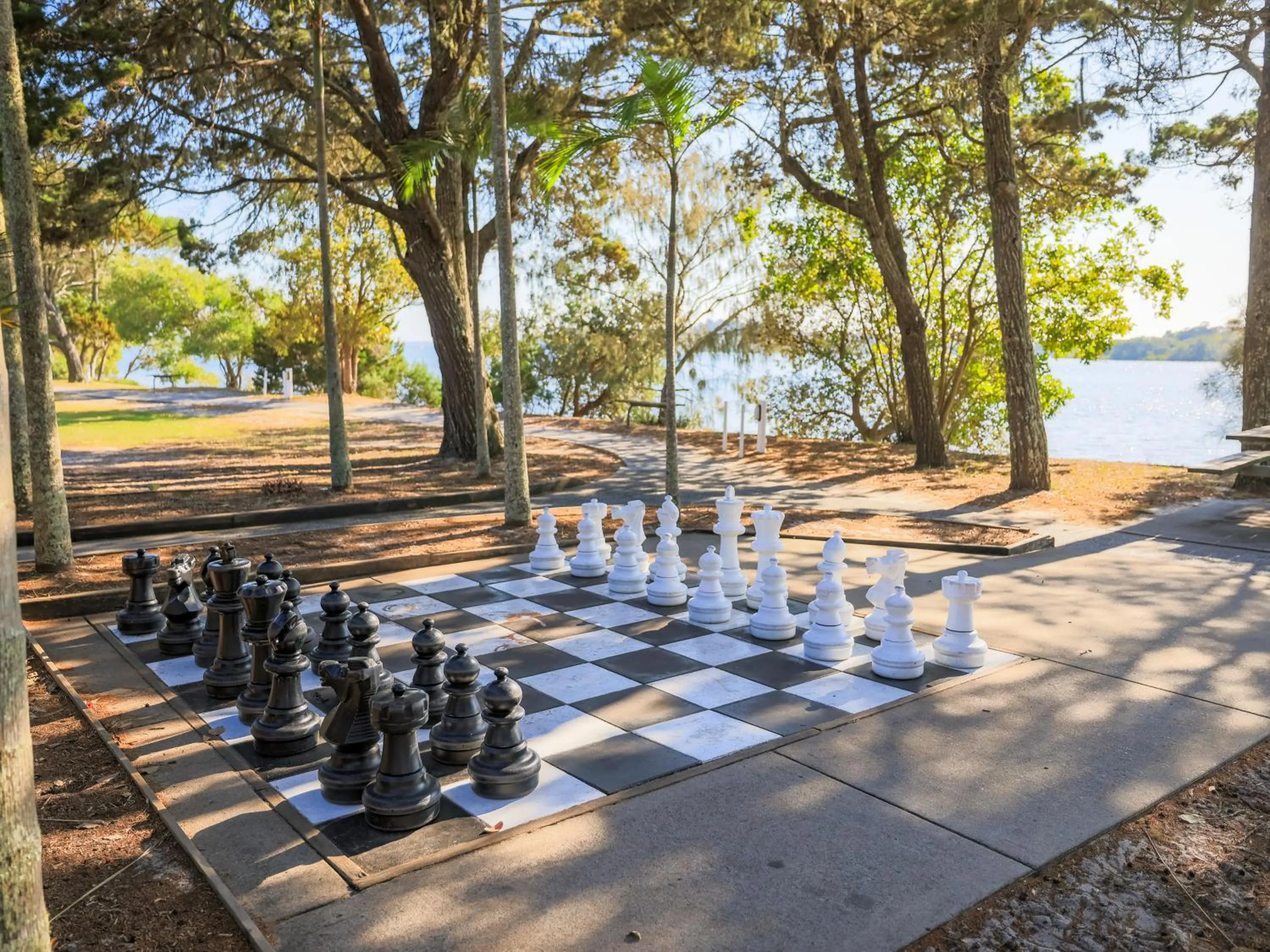 Activities in NRMA Blue Dolphin Yamba Holiday Resort