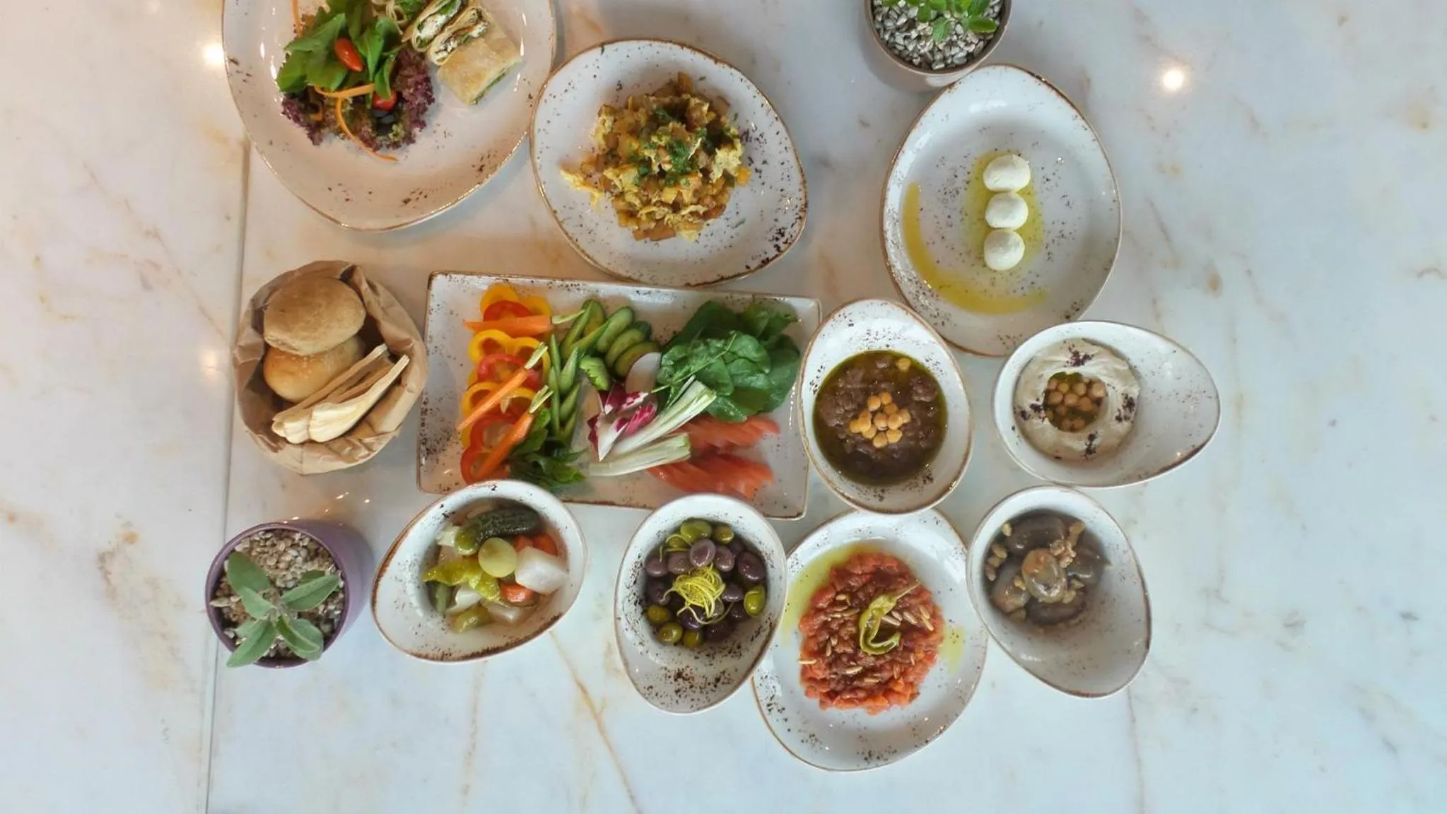 Breakfast in Wild Jordan Center