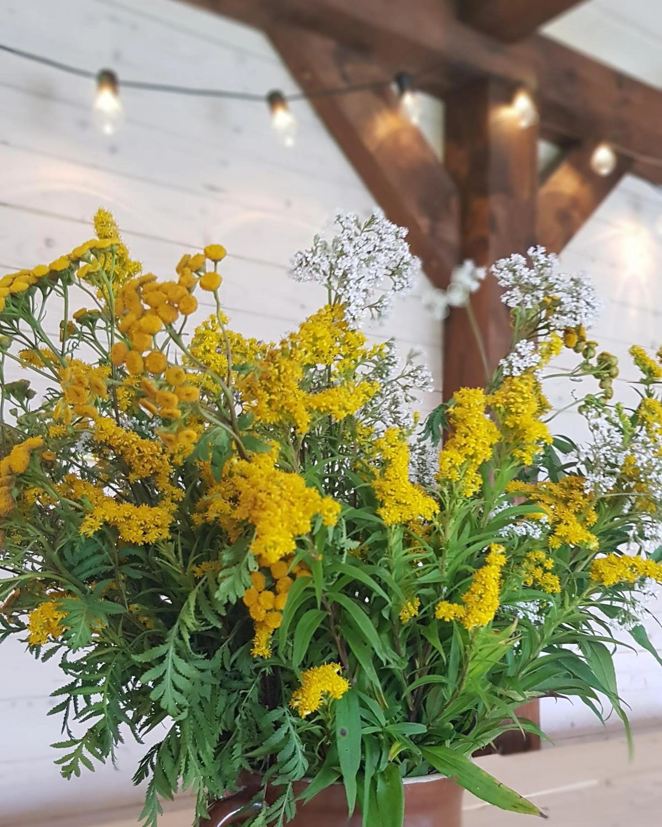 Garden in Malowane Wierchy