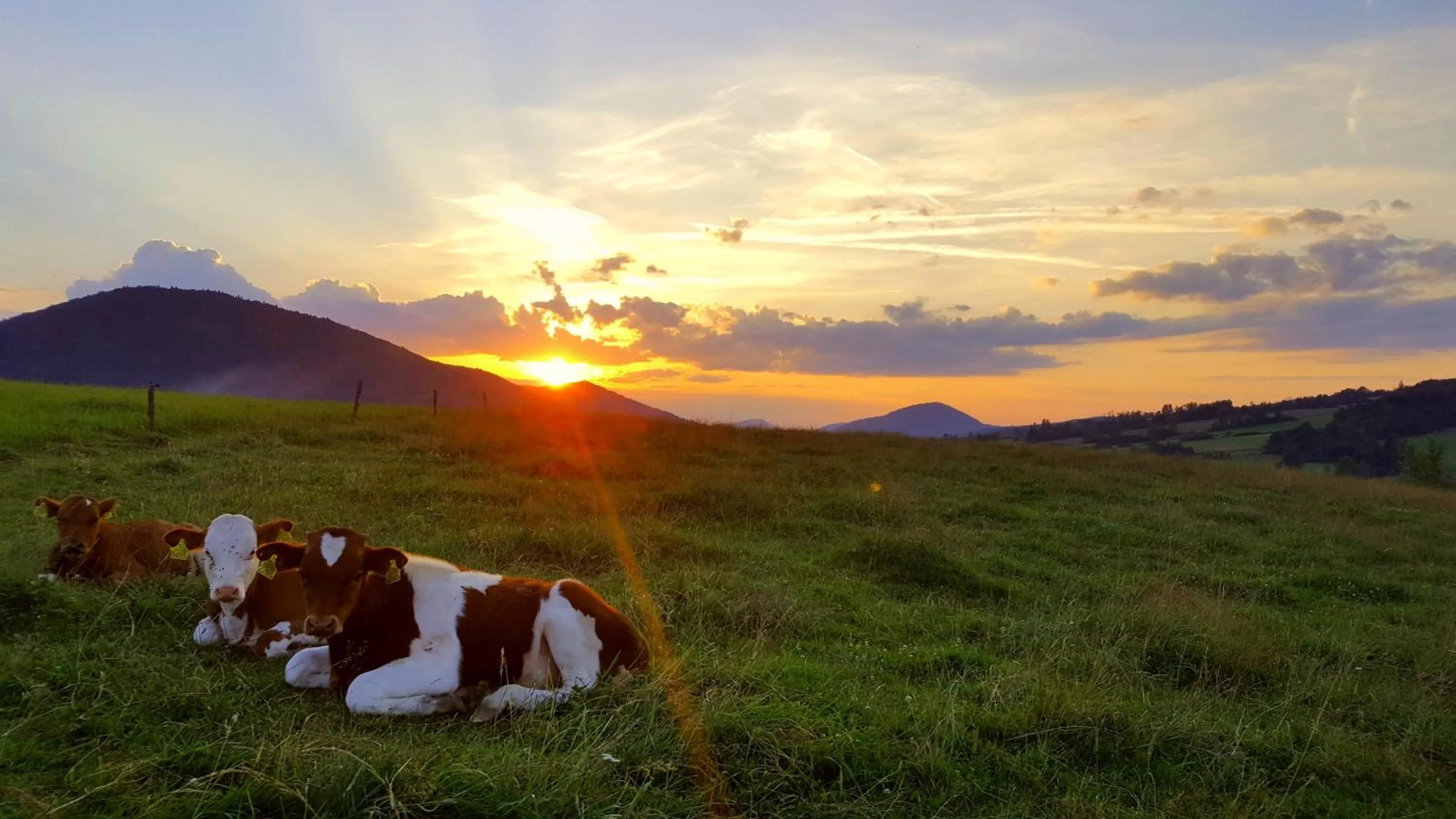 Natural landscape in Malowane Wierchy
