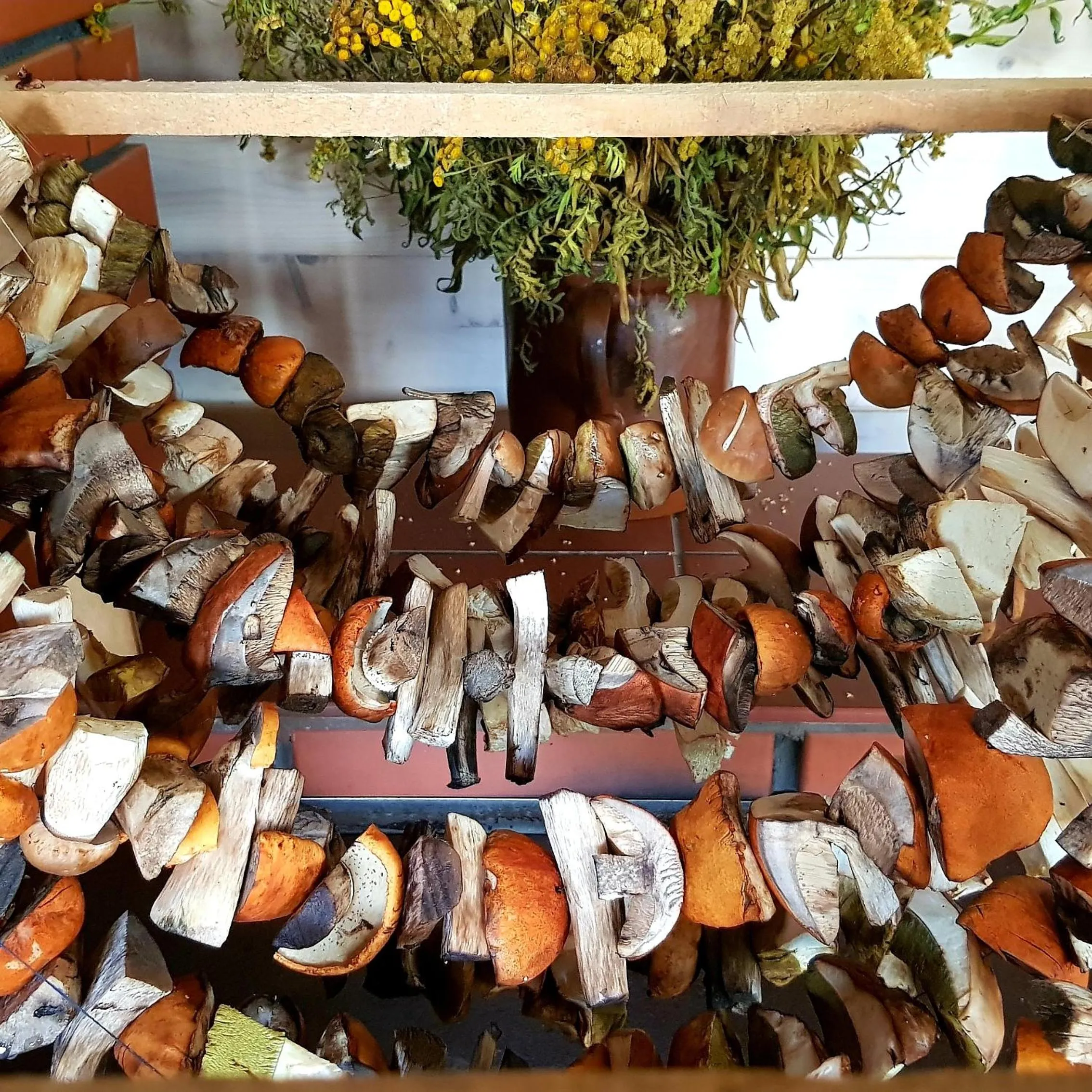 Natural landscape in Malowane Wierchy