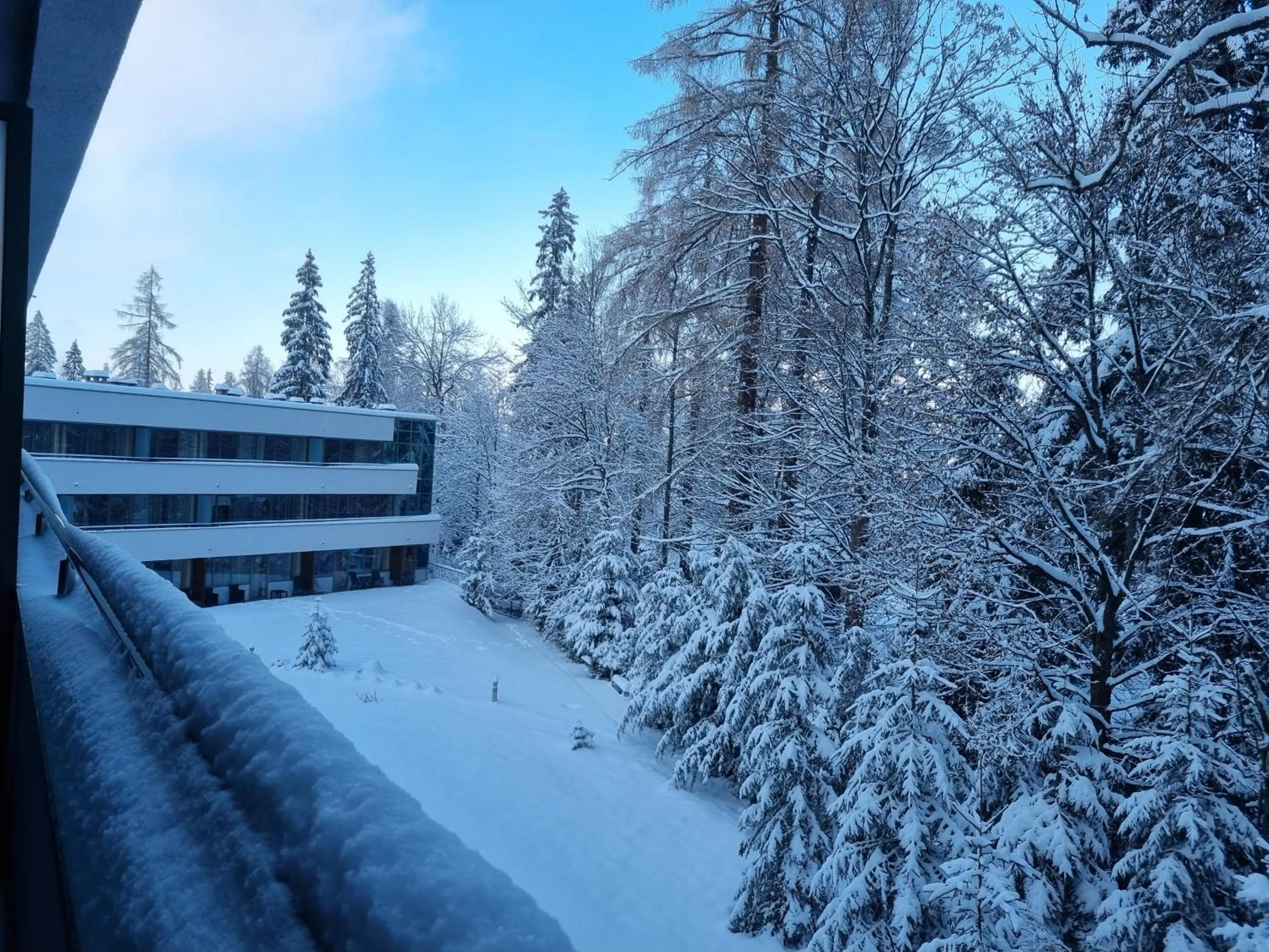 Garden in Hotel Murowanica