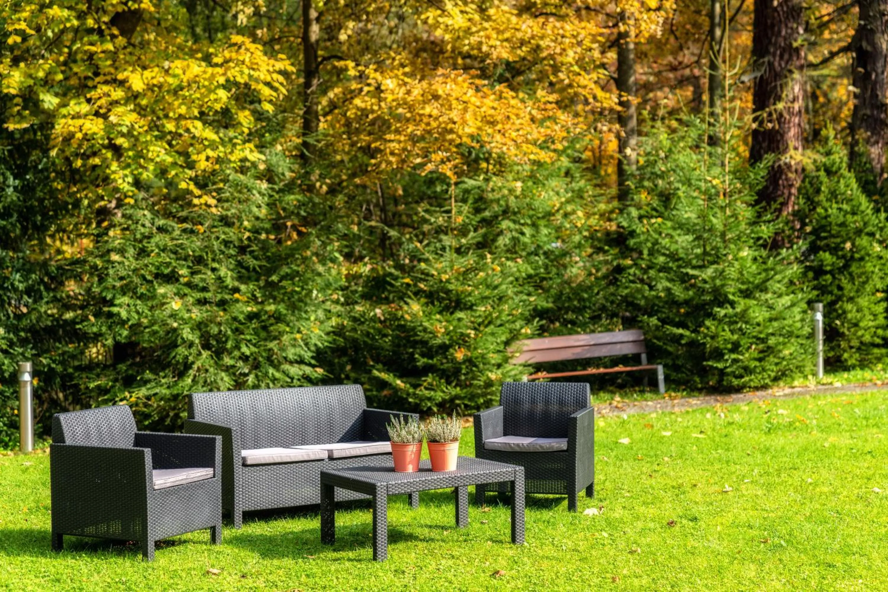 Garden in Hotel Murowanica