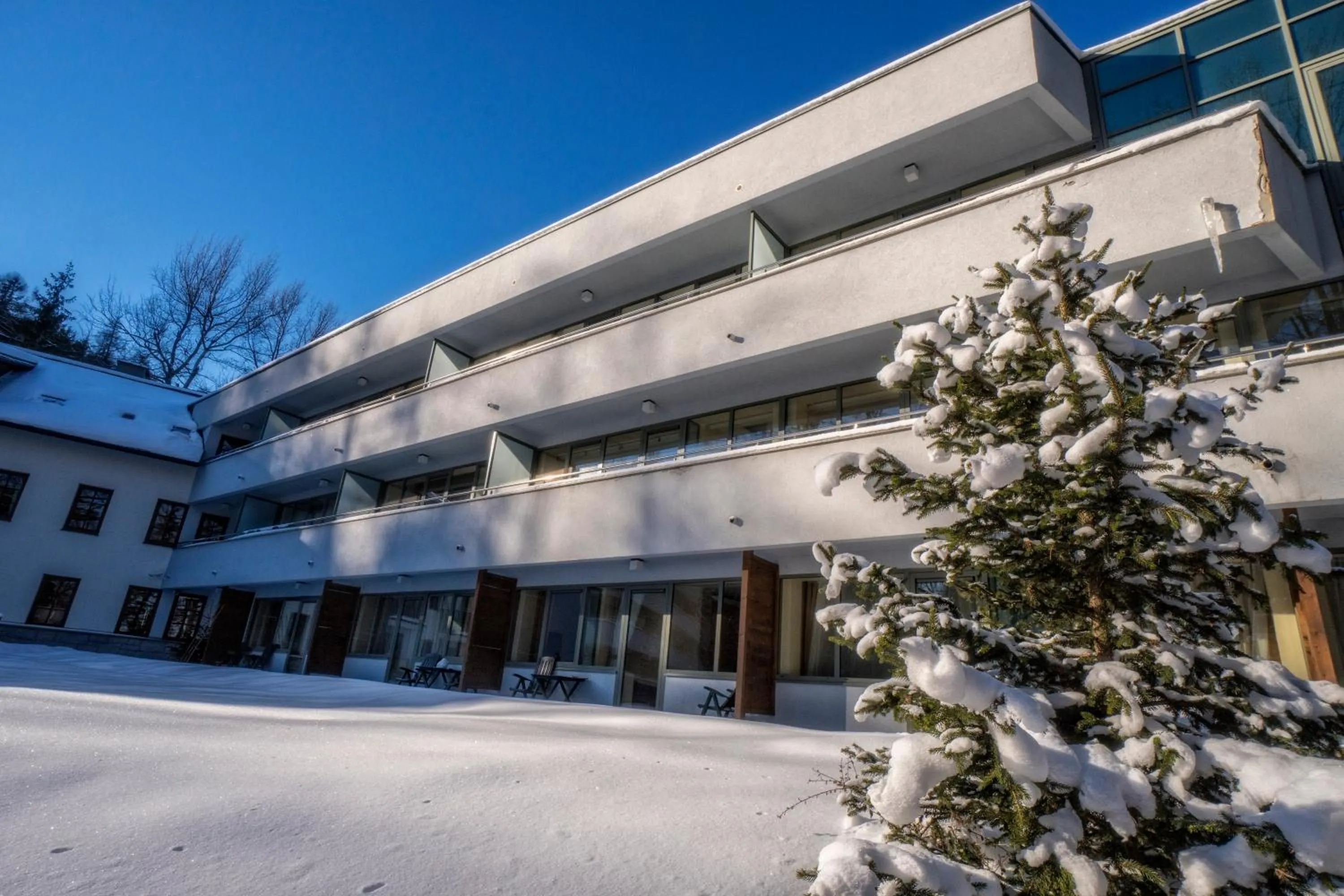 Property building in Hotel Murowanica