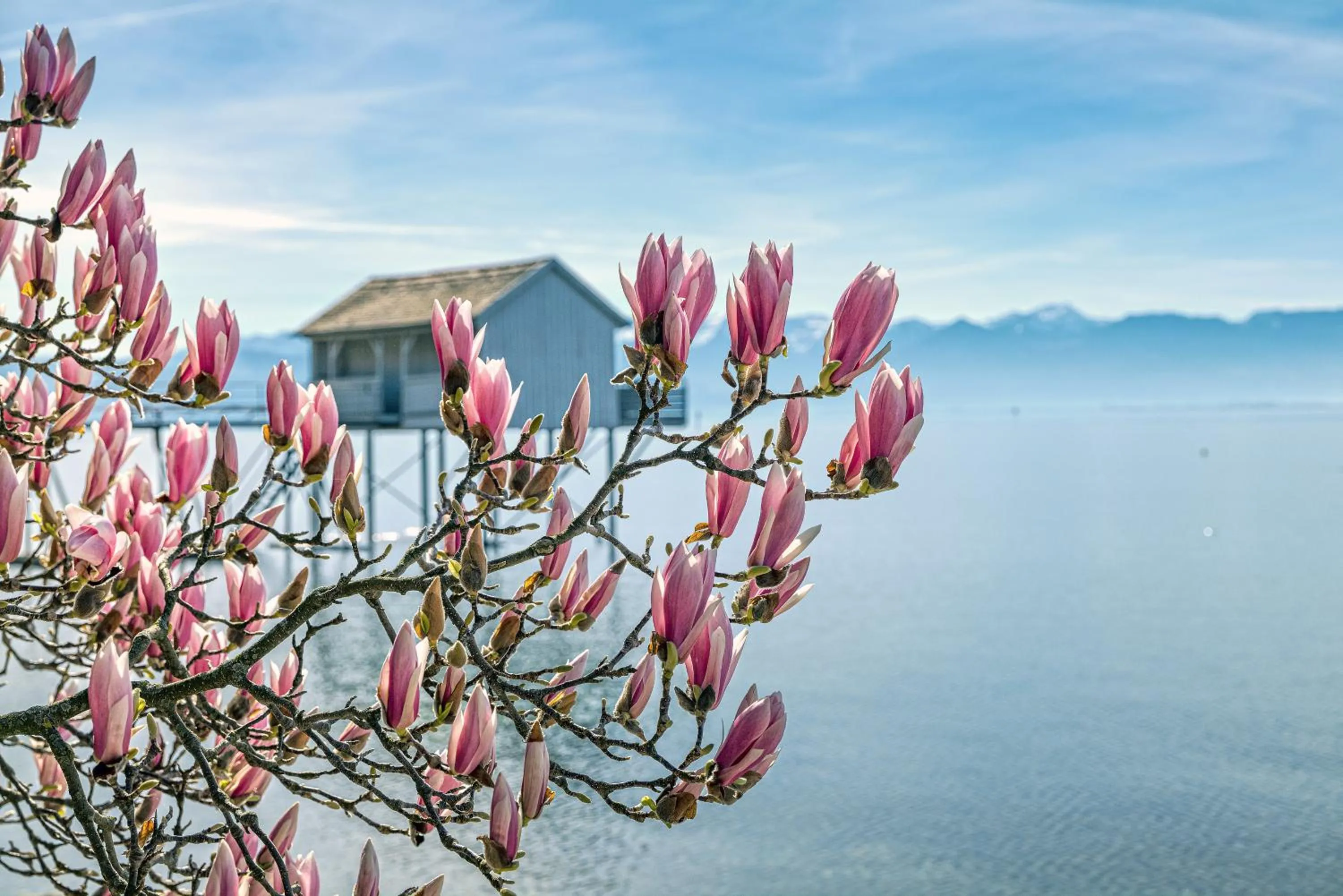 Natural landscape in Schloss Hotel Wasserburg