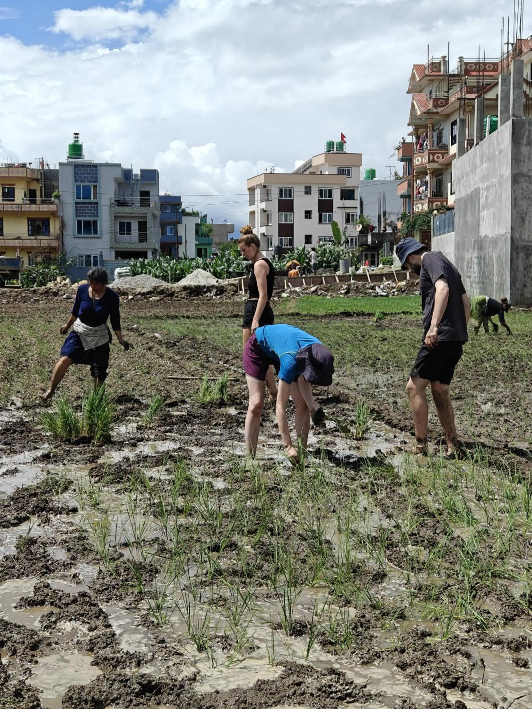 Natural landscape in Sanu House