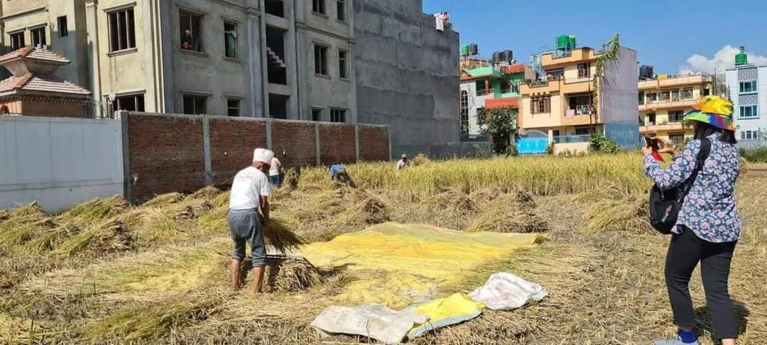 Natural landscape in Sanu House