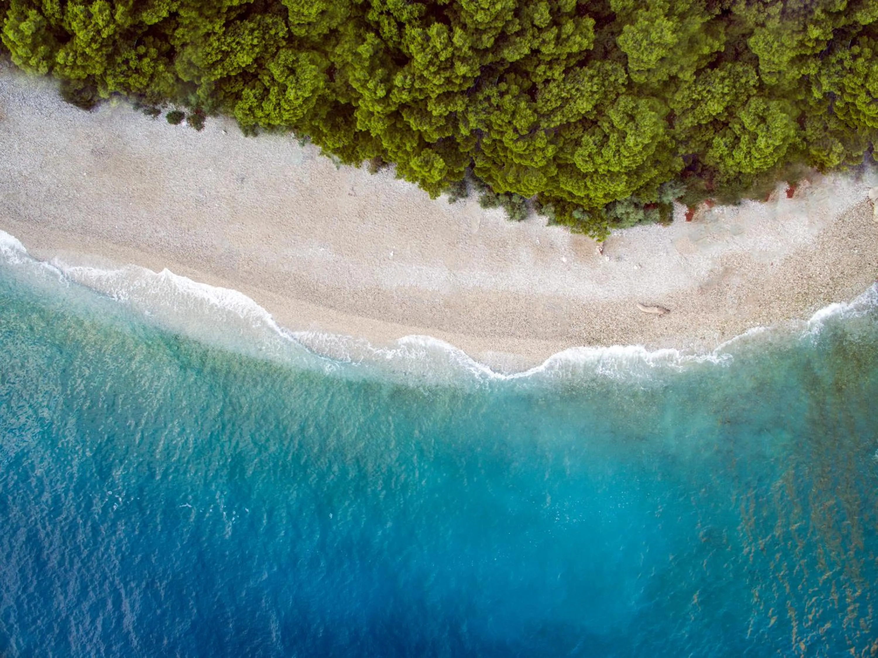 Beach in Bluesun Hotel Alga