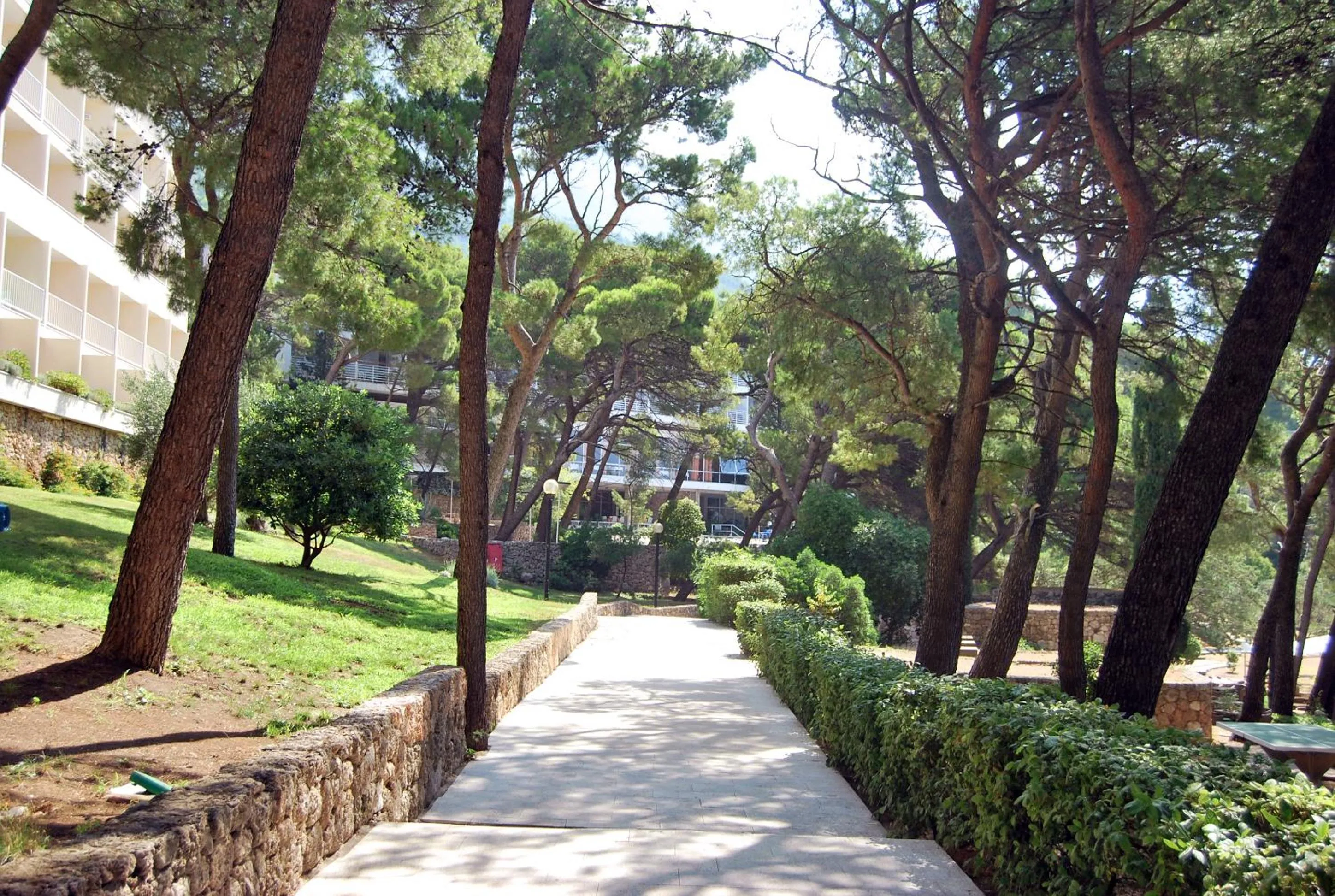 Natural landscape in Bluesun Hotel Marina