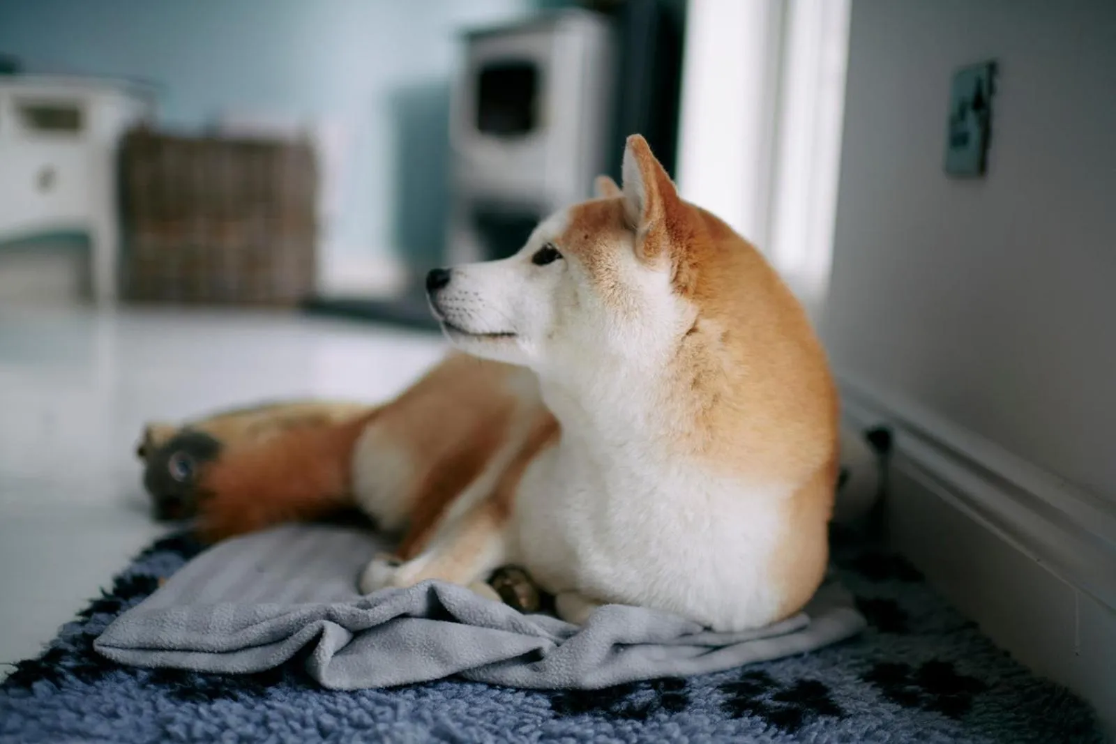 The Swan Hotel and Spa