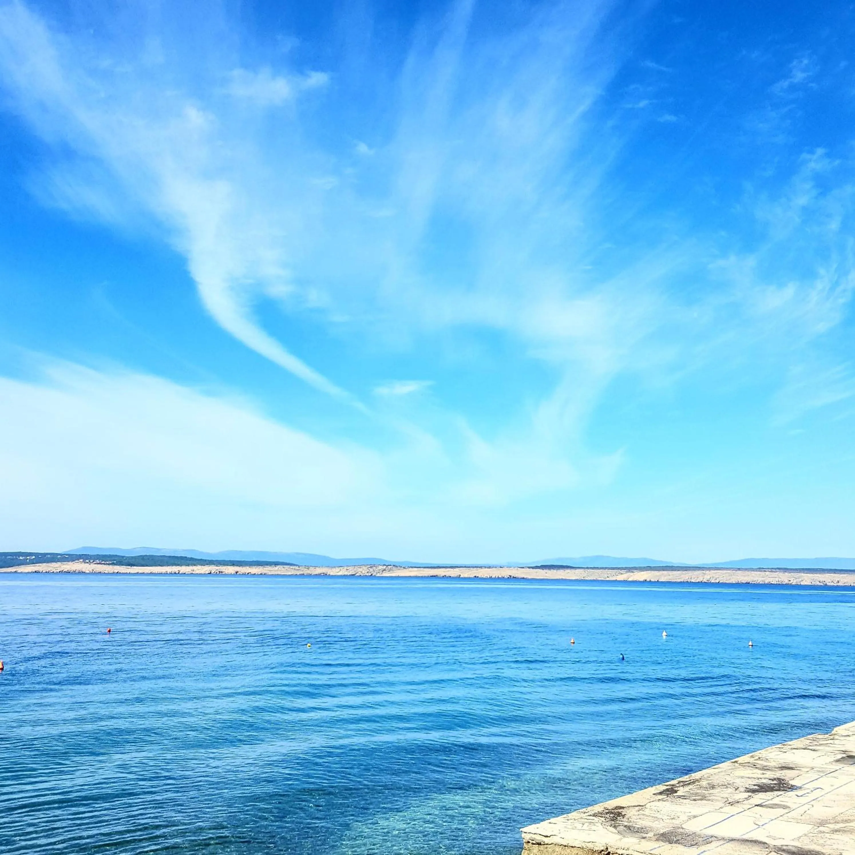 Natural landscape in Hotel Abalone