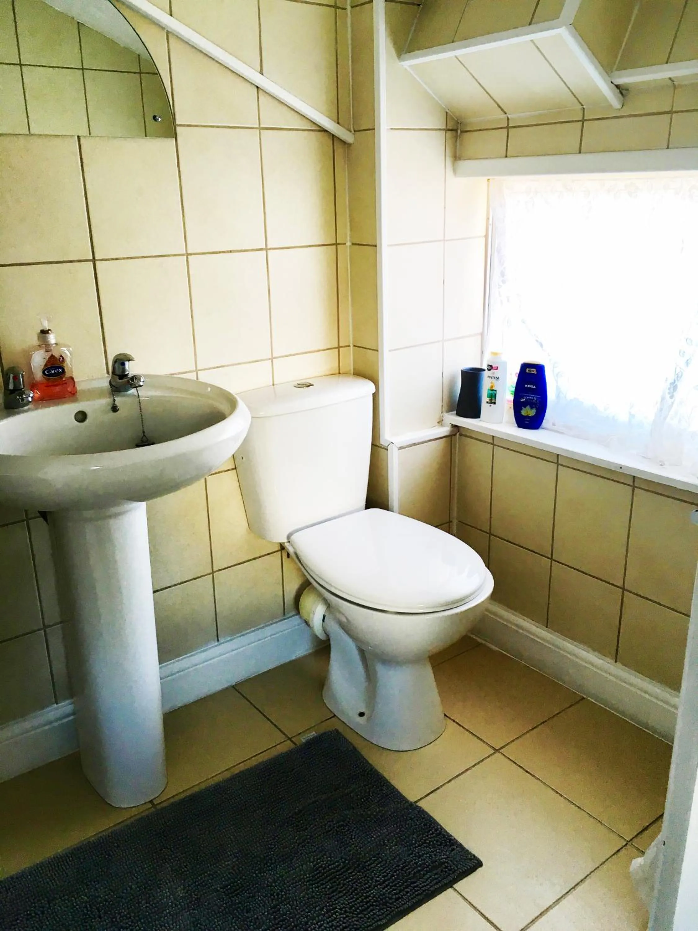 Toilet in Hillside Bed and Breakfast