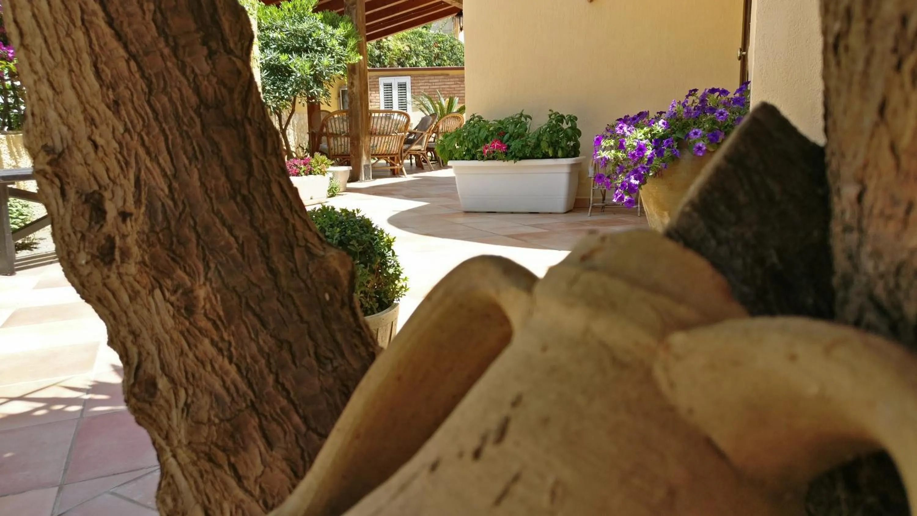 Garden view in B&B Villa Maiolica