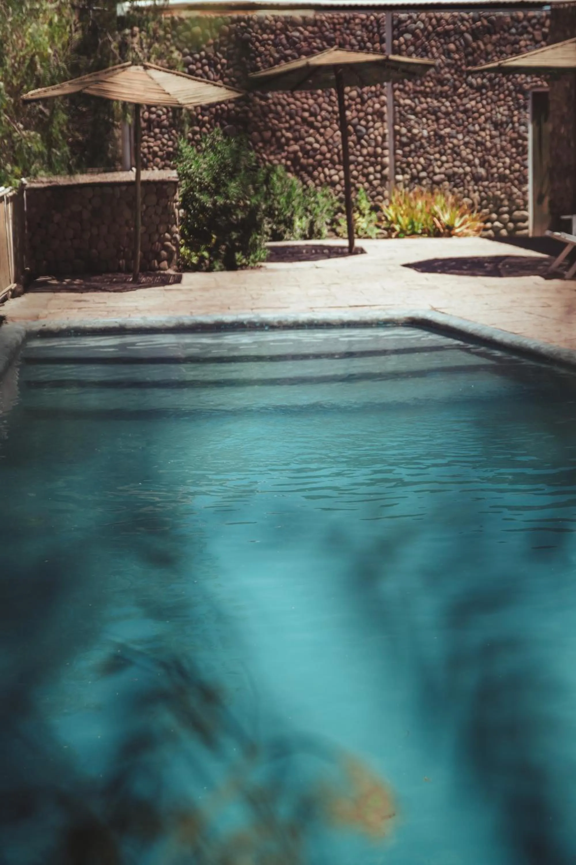 Swimming pool in Hotel La Casa de Don Tomás