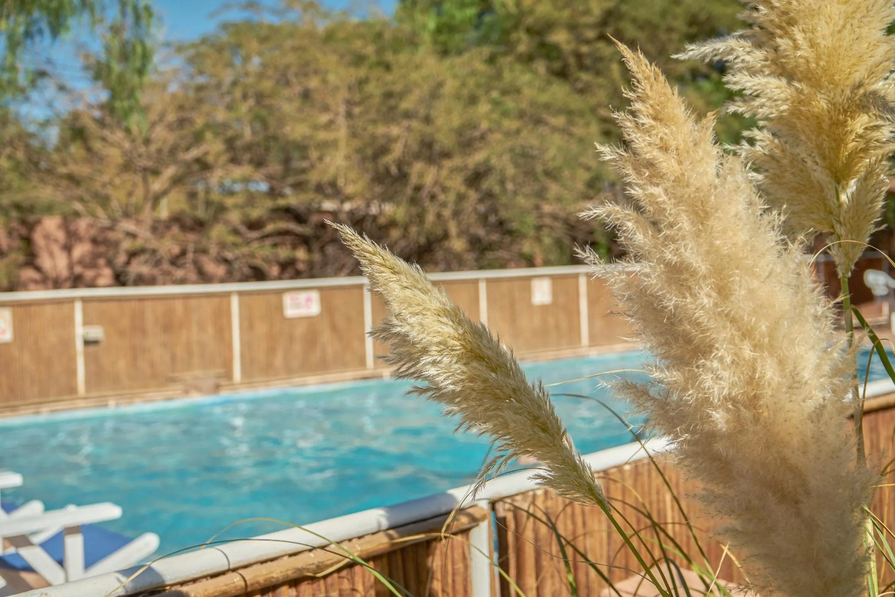 Pool view in Hotel La Casa de Don Tomás