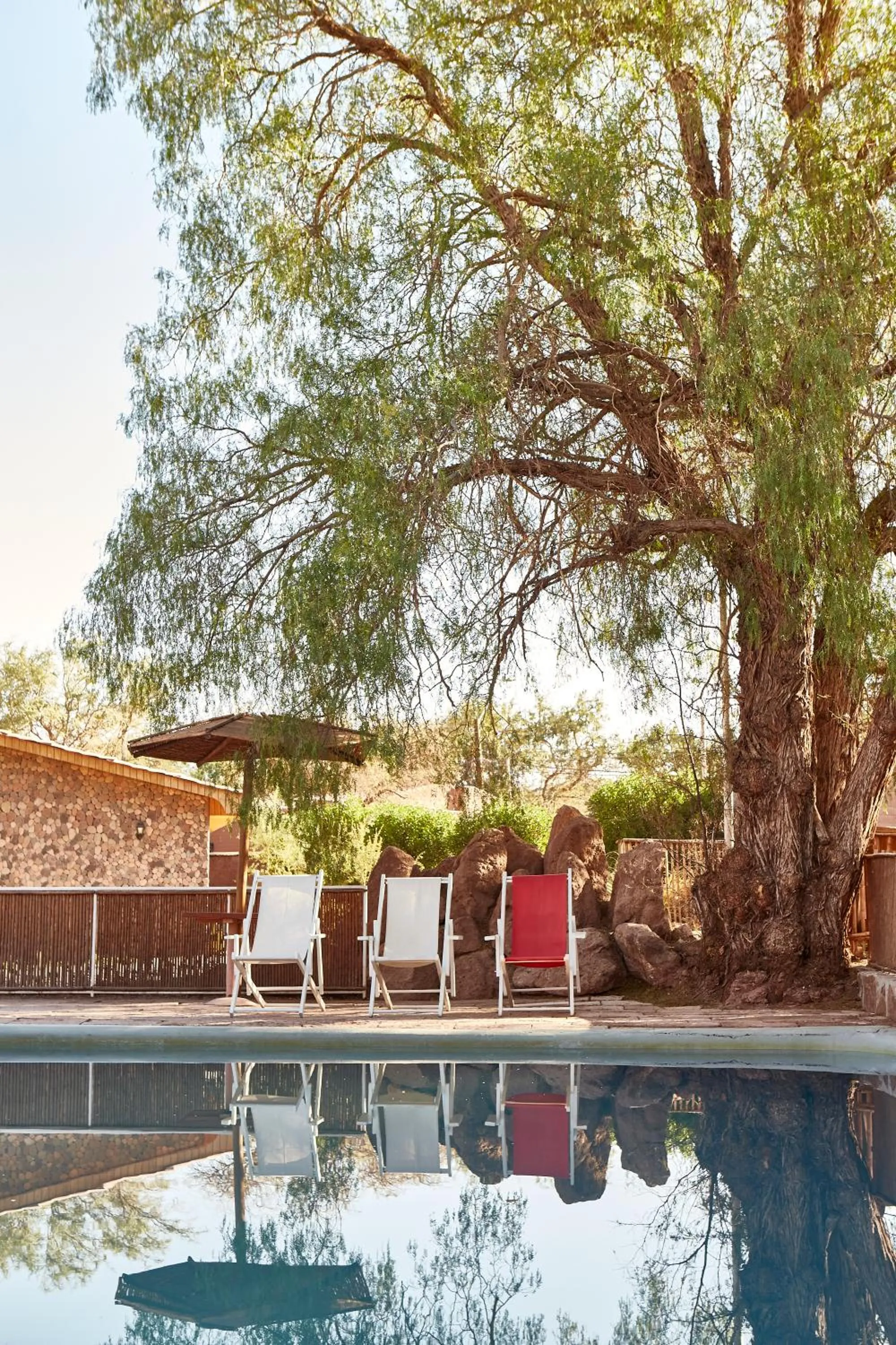 Swimming pool in Hotel La Casa de Don Tomás