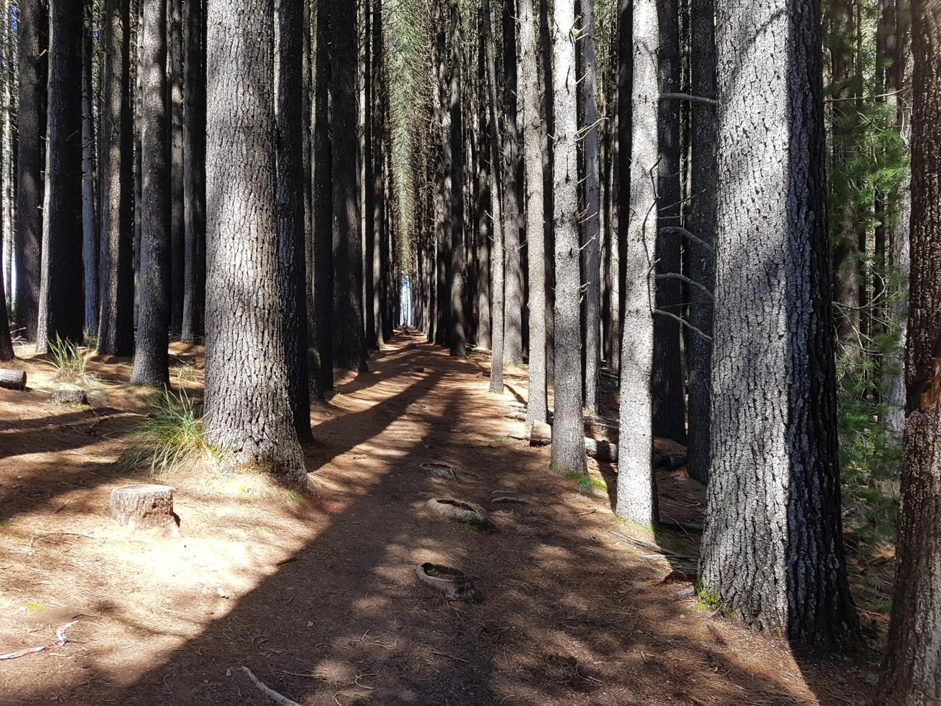 Natural landscape in The Apple Inn