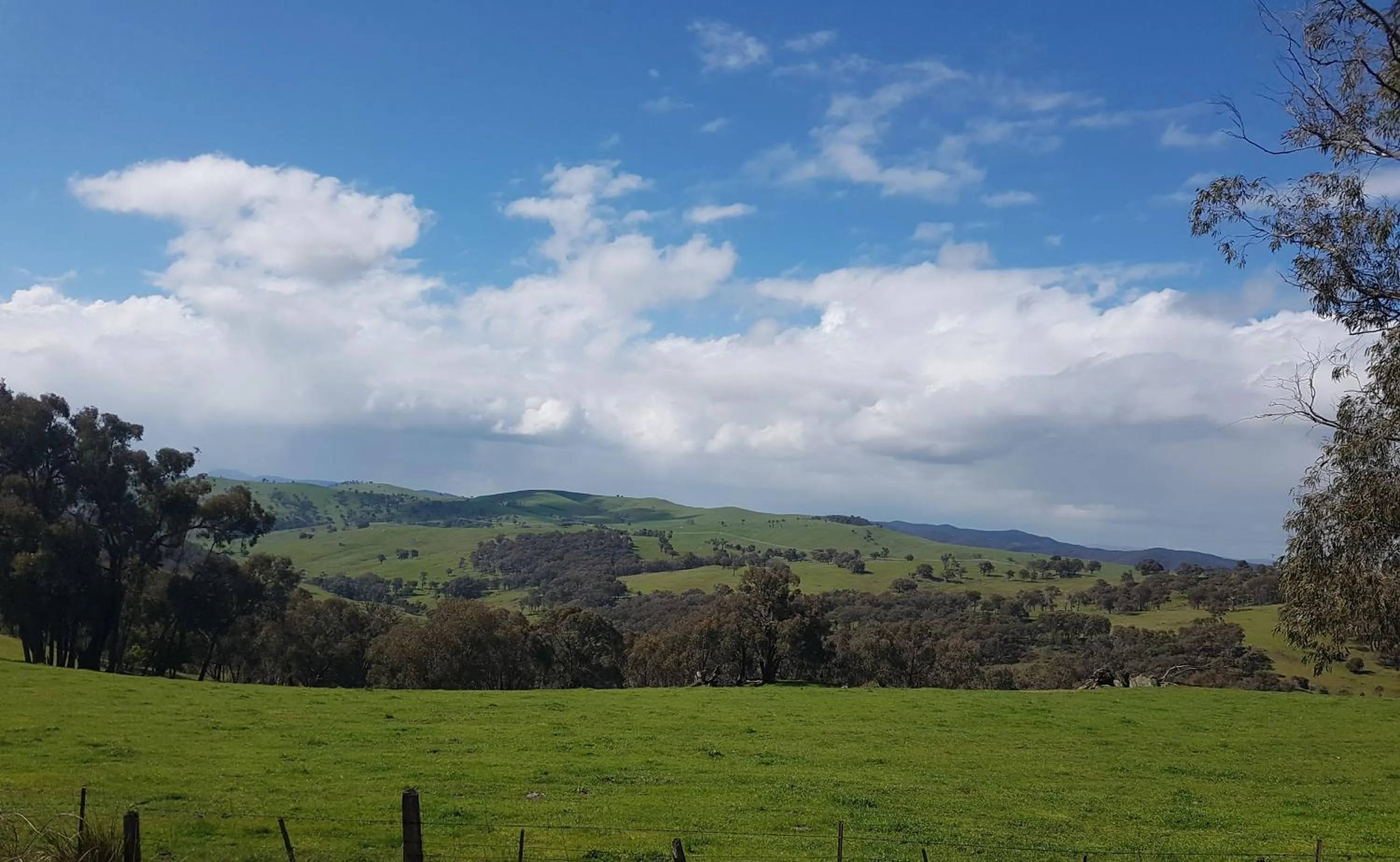 Natural landscape in The Apple Inn