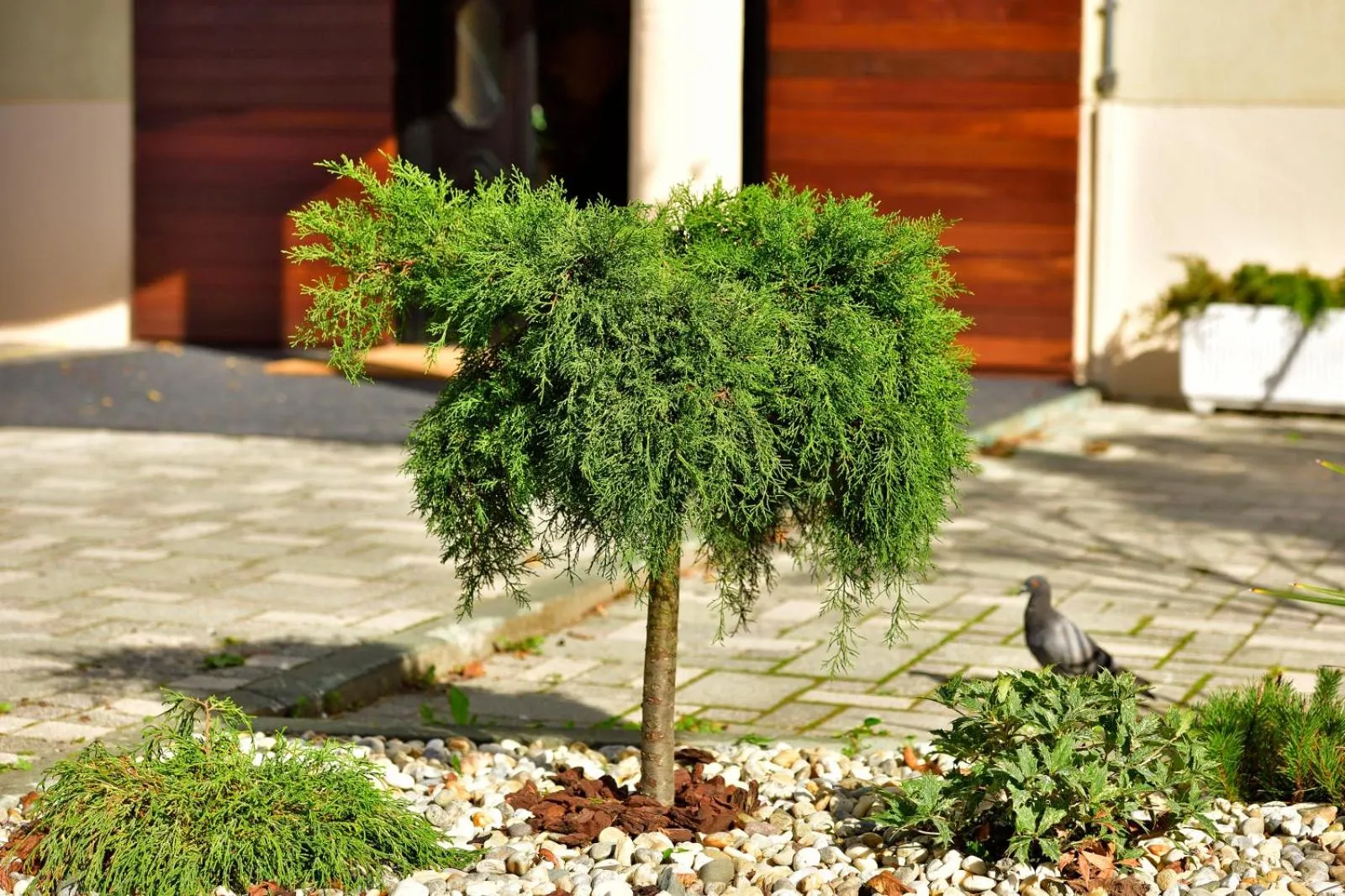 On site in Hotel Orient Zagreb