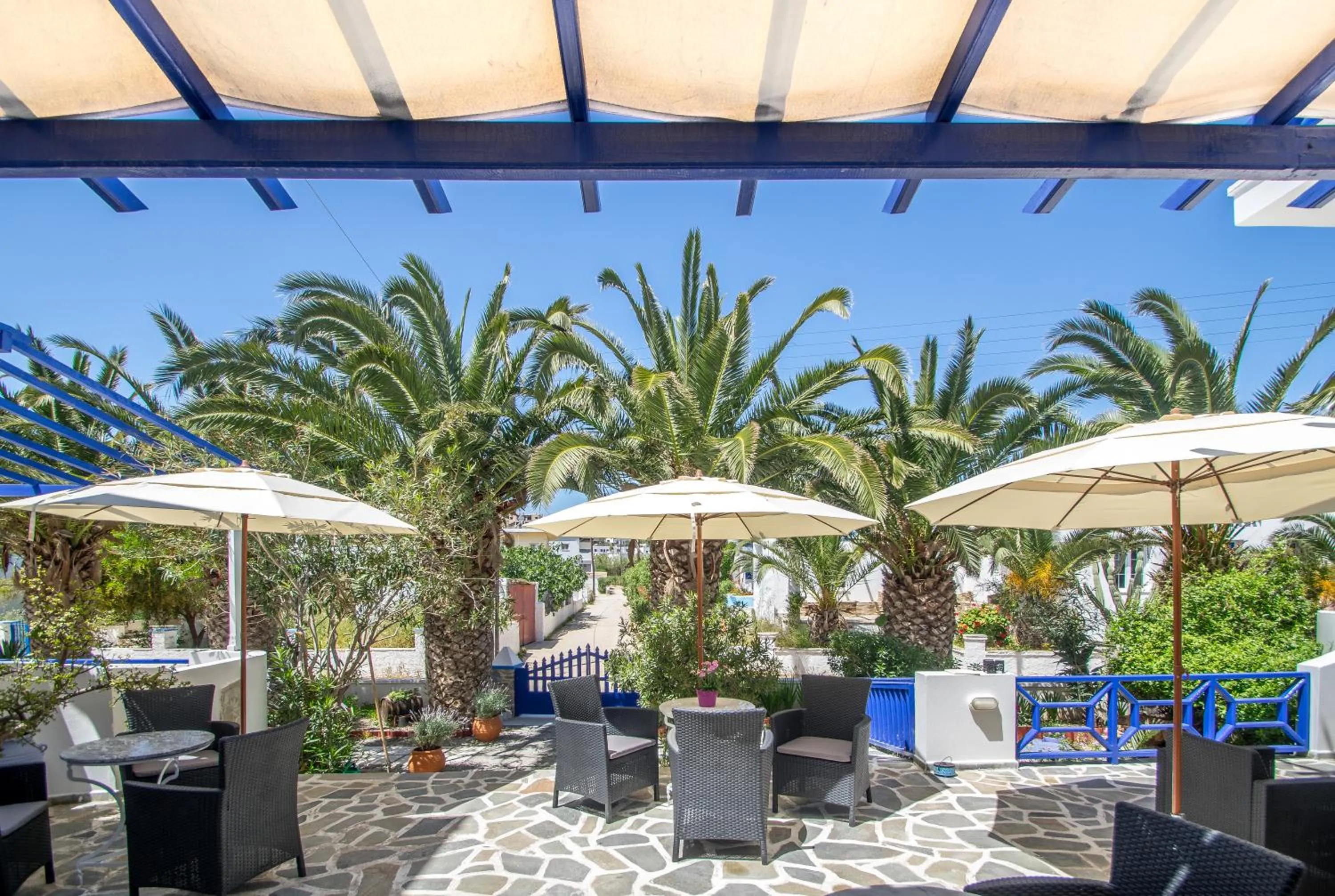 Garden in Syros Atlantis