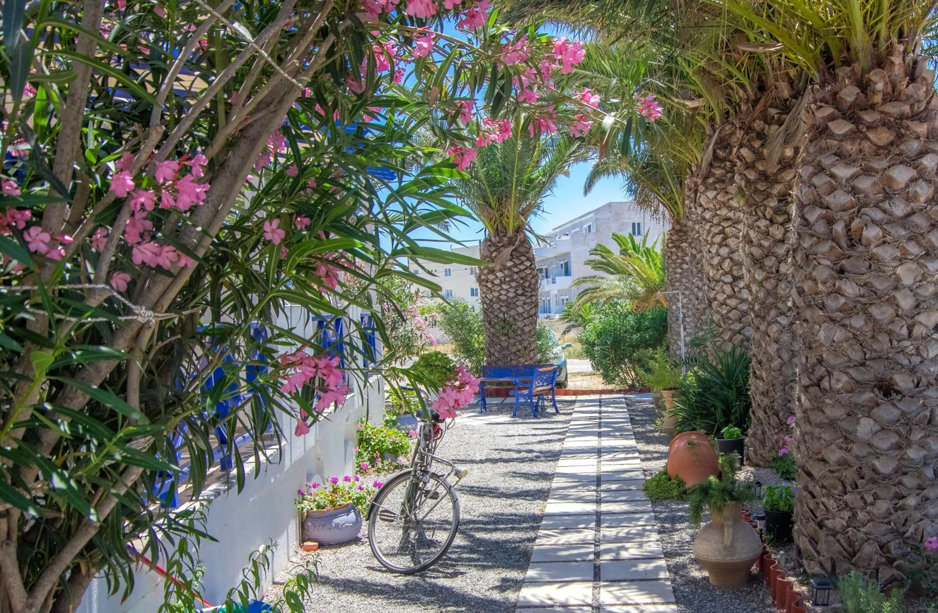 Garden in Syros Atlantis