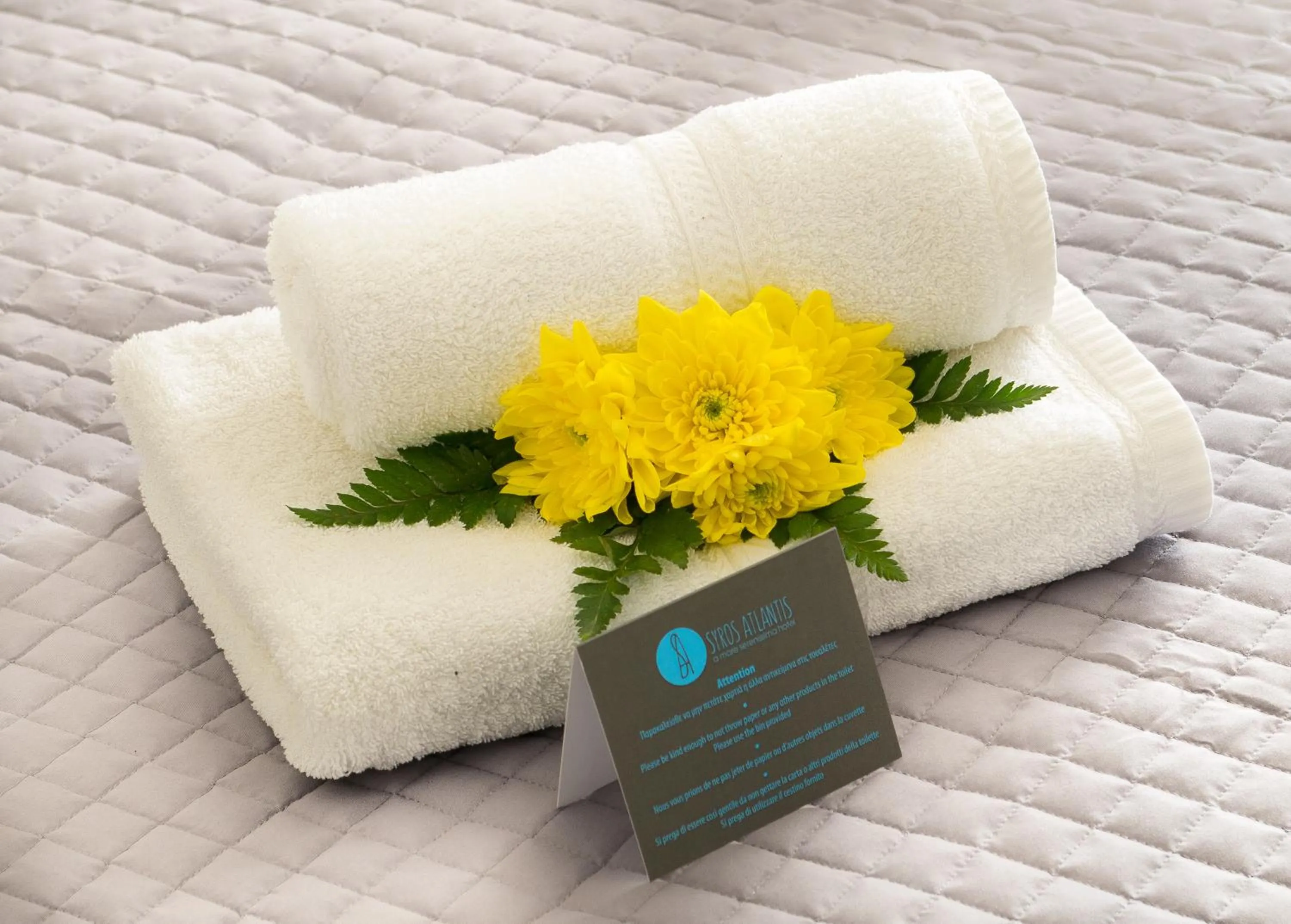 Decorative detail in Syros Atlantis