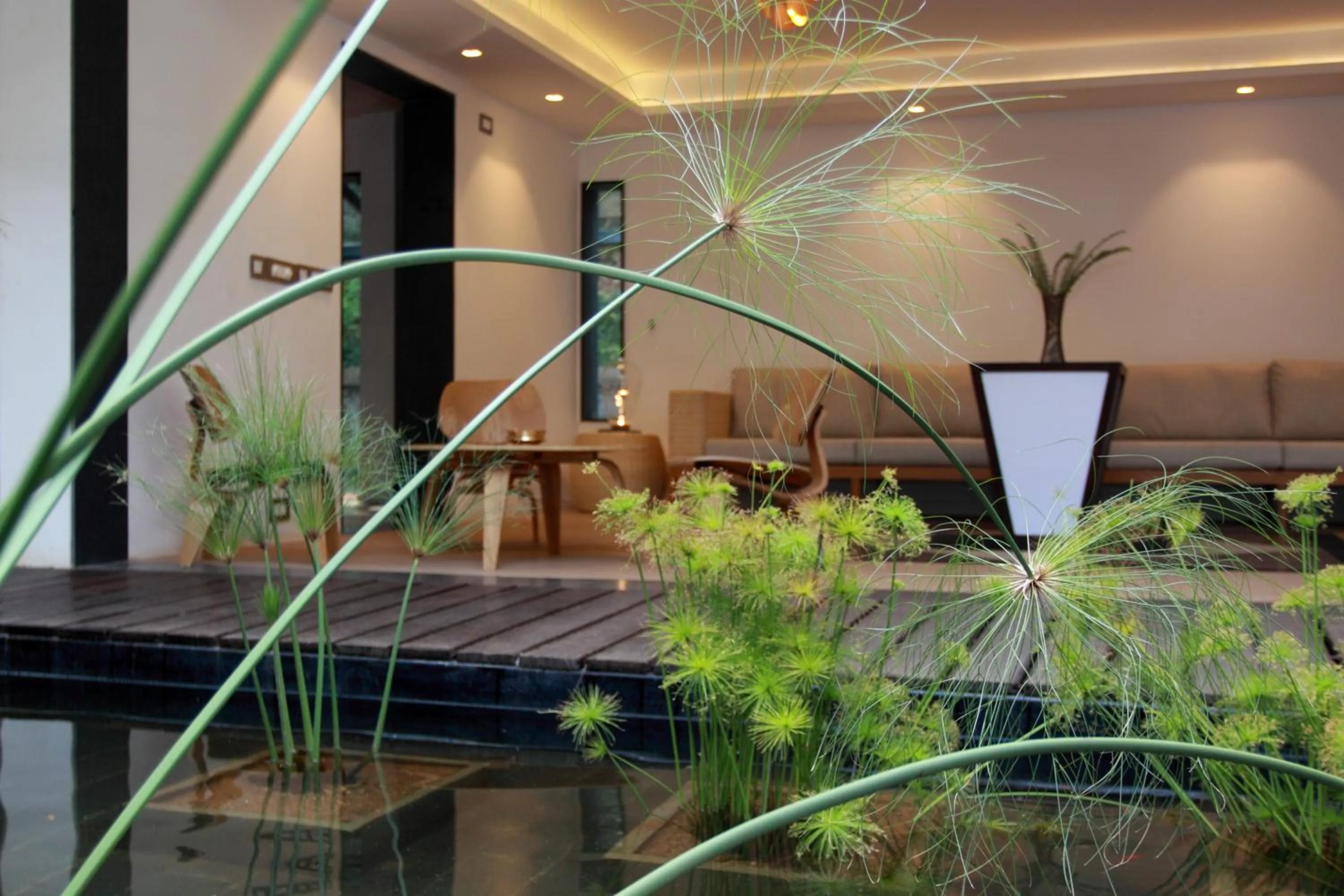 Patio in The IBNII - Eco Luxury Resort