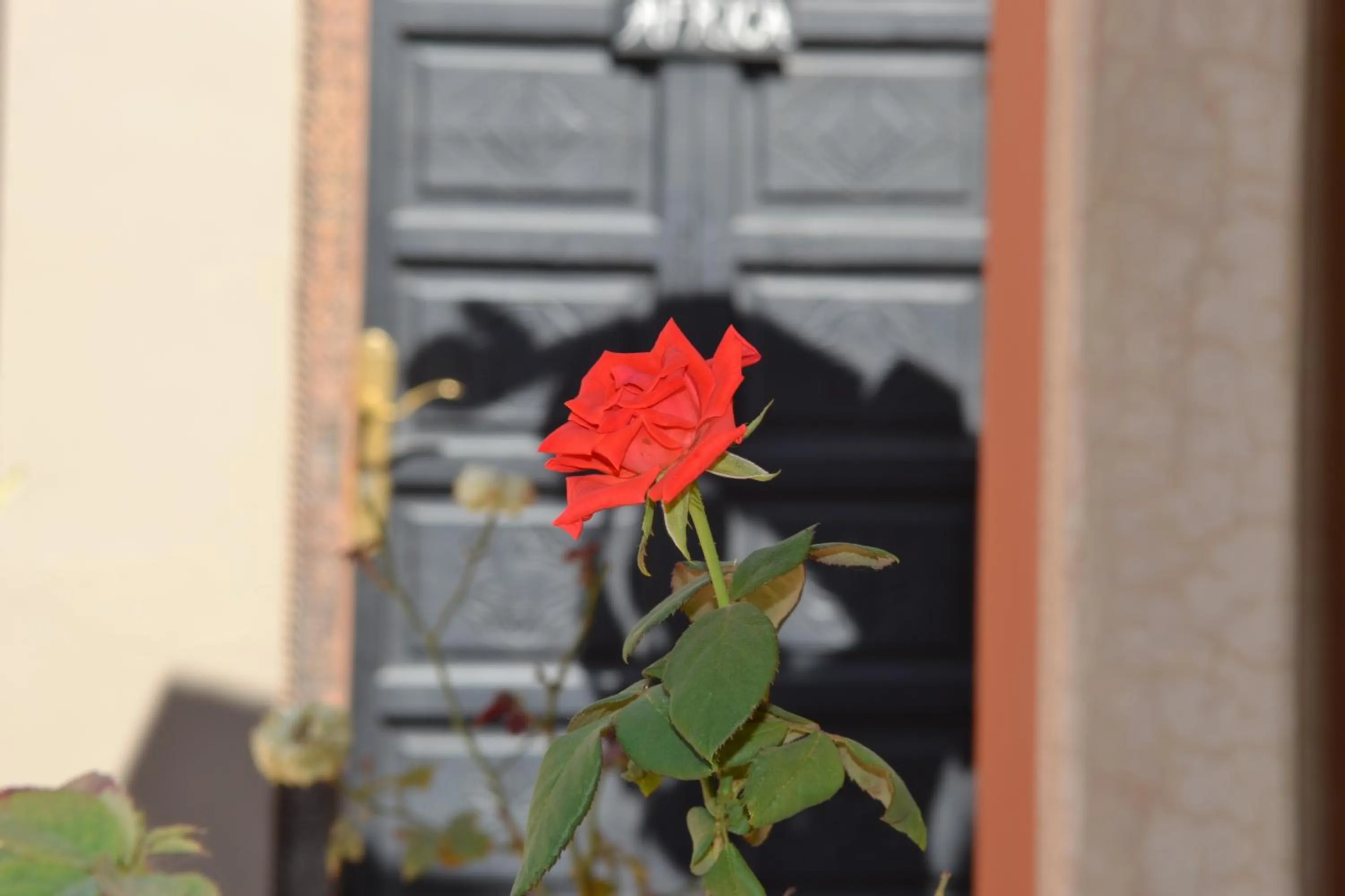 Garden in Riad See Moon And Spa