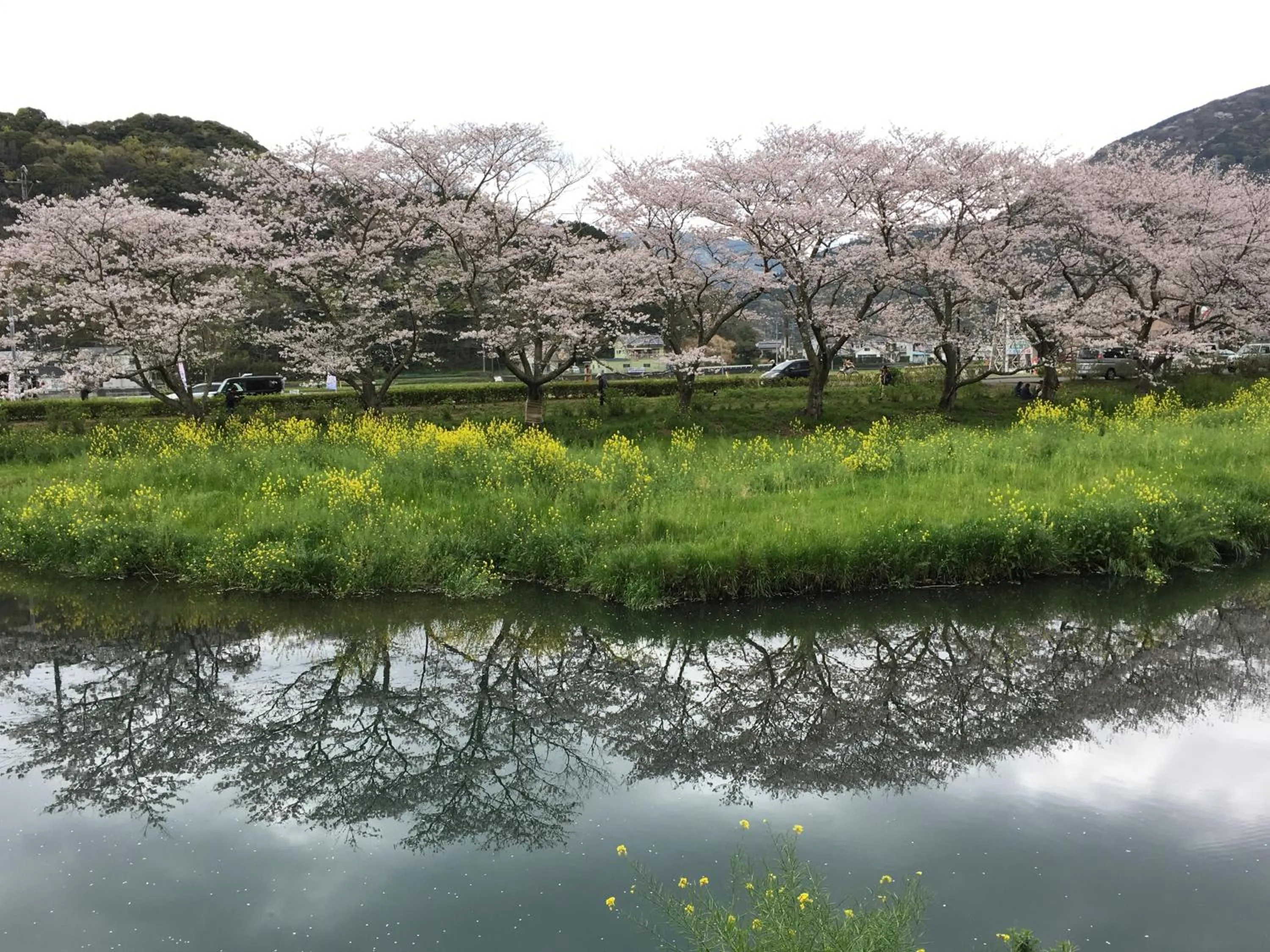 Spring in Dogashima Onsen Hotel