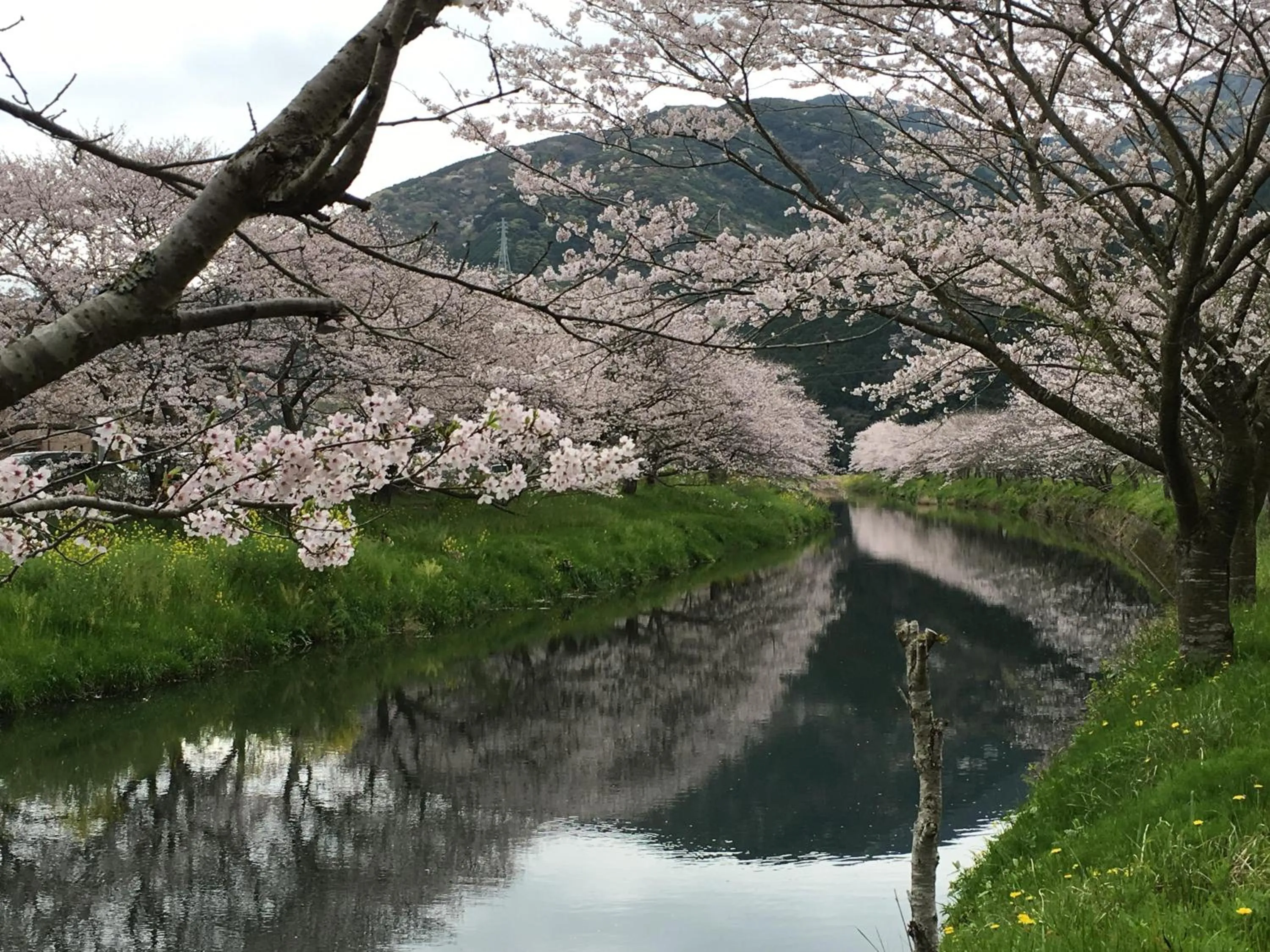 Spring in Dogashima Onsen Hotel