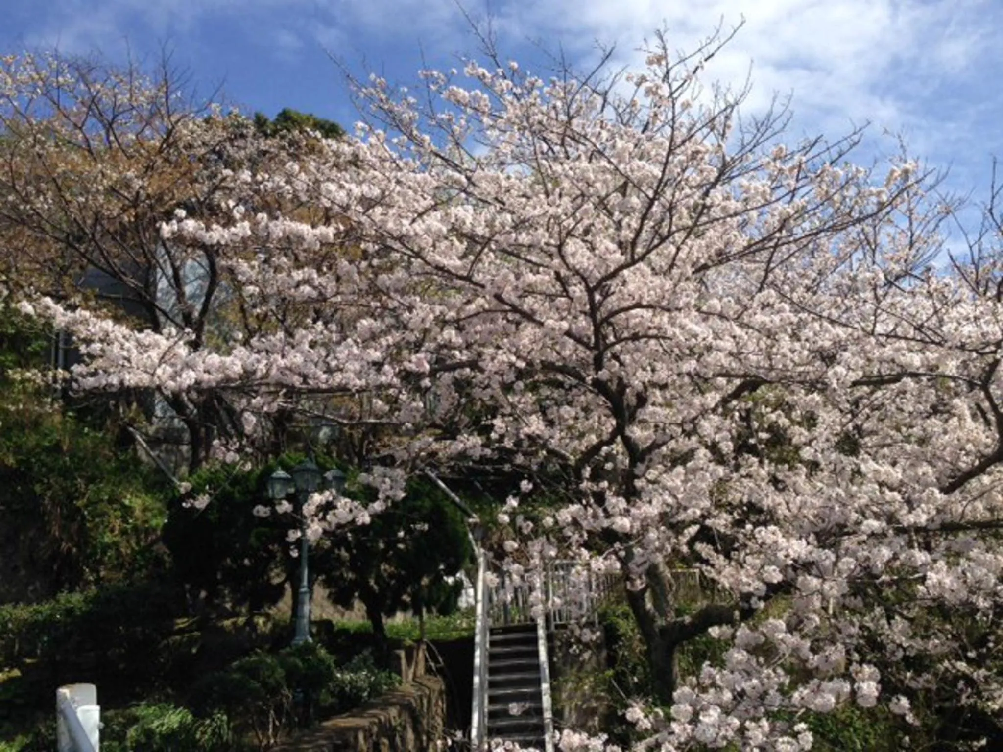 Spring in Dogashima Onsen Hotel