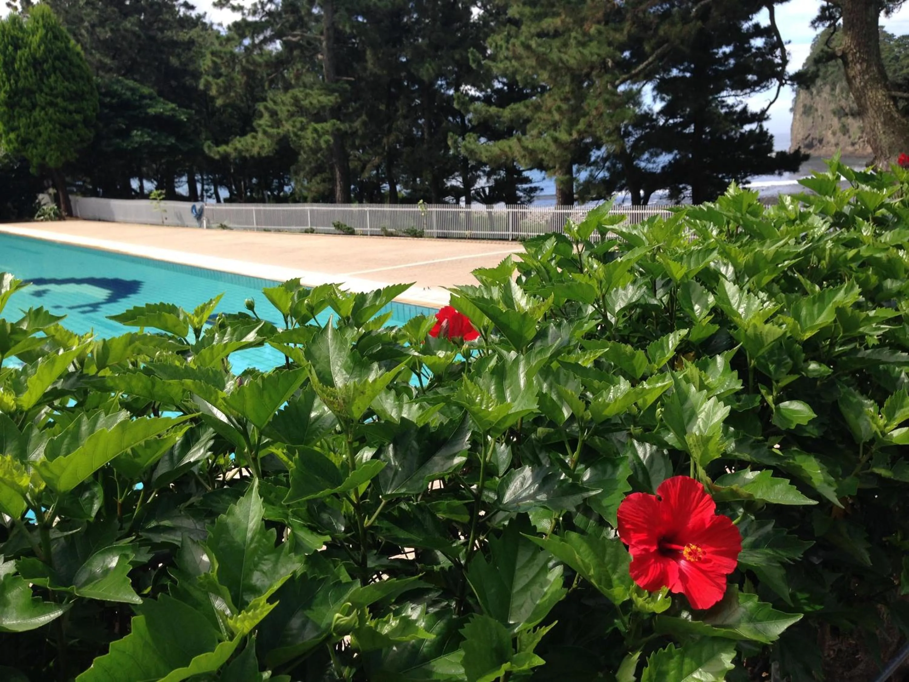 Summer in Dogashima Onsen Hotel