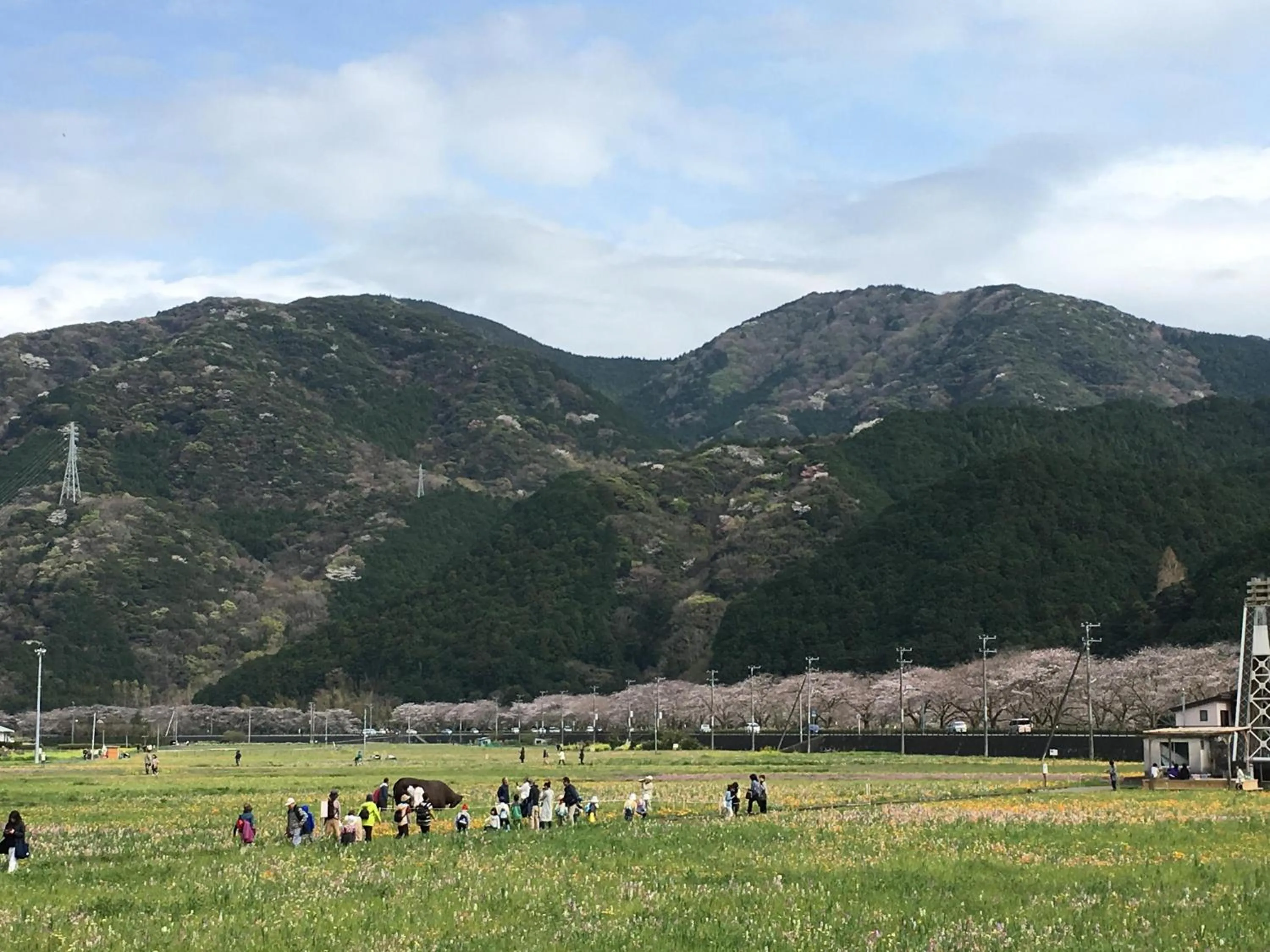 Spring in Dogashima Onsen Hotel