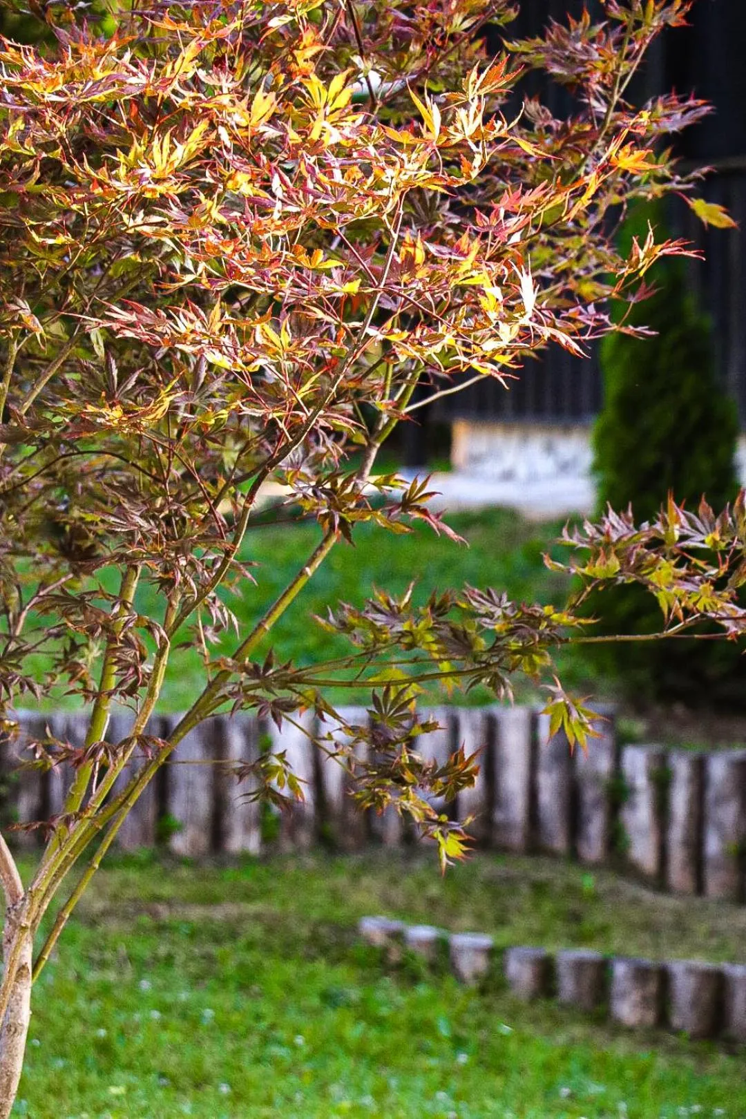 Garden in Etno Garden Apartments