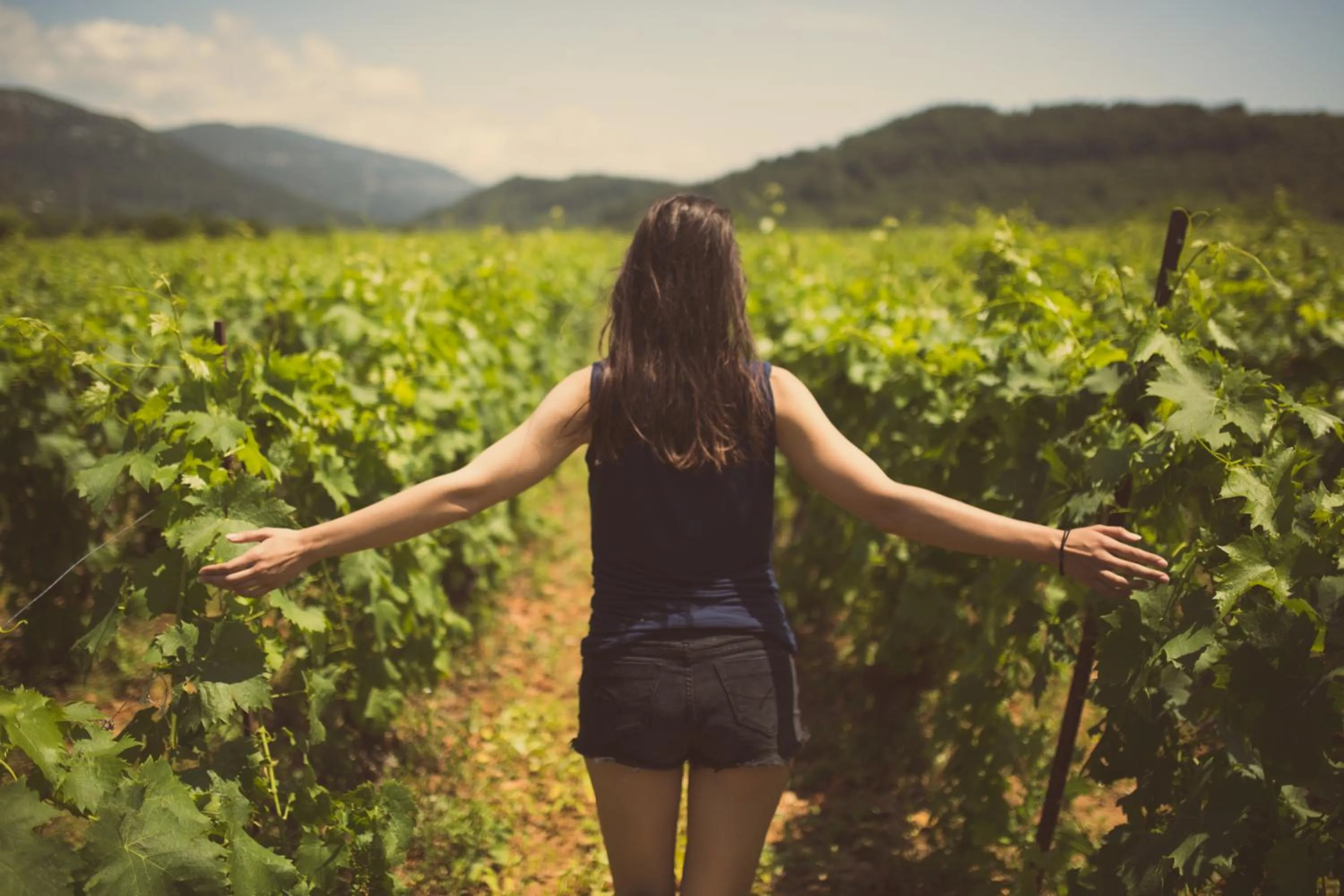 Day in Hotel Korkyra