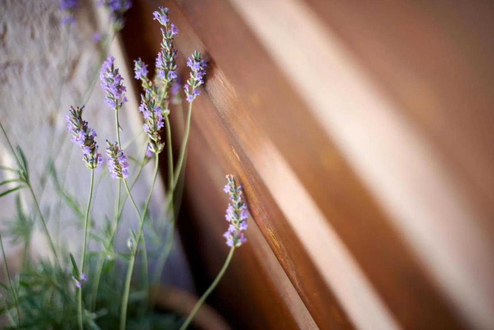 Decorative detail in Villa Kudelik - Stone Story