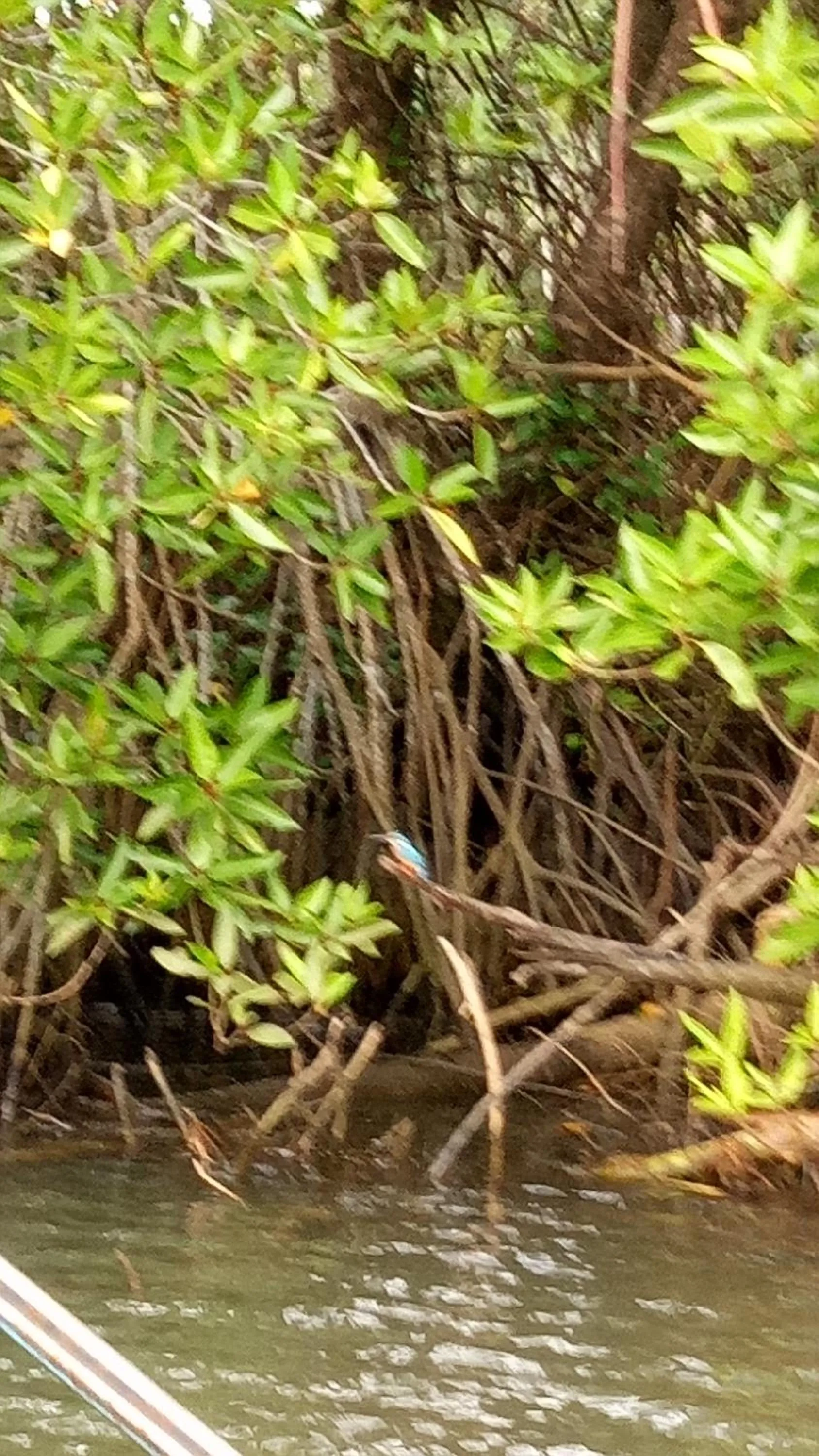 River view in Mahi Villa