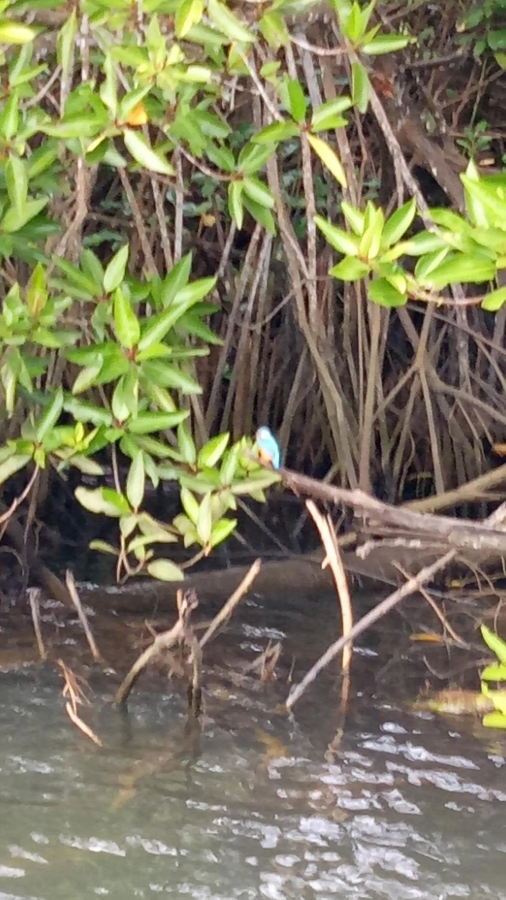 River view in Mahi Villa