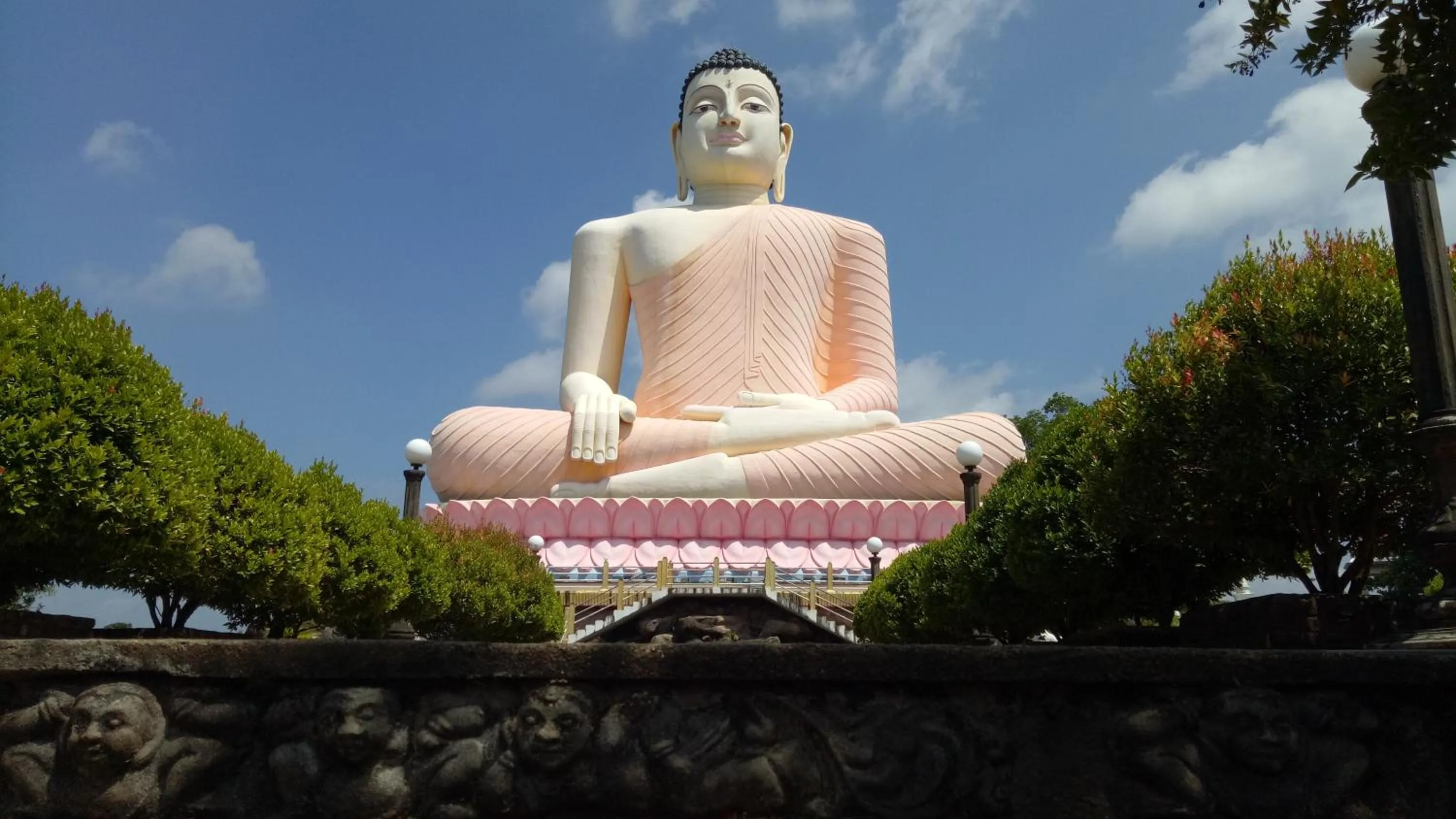 Area and facilities in Mahi Villa