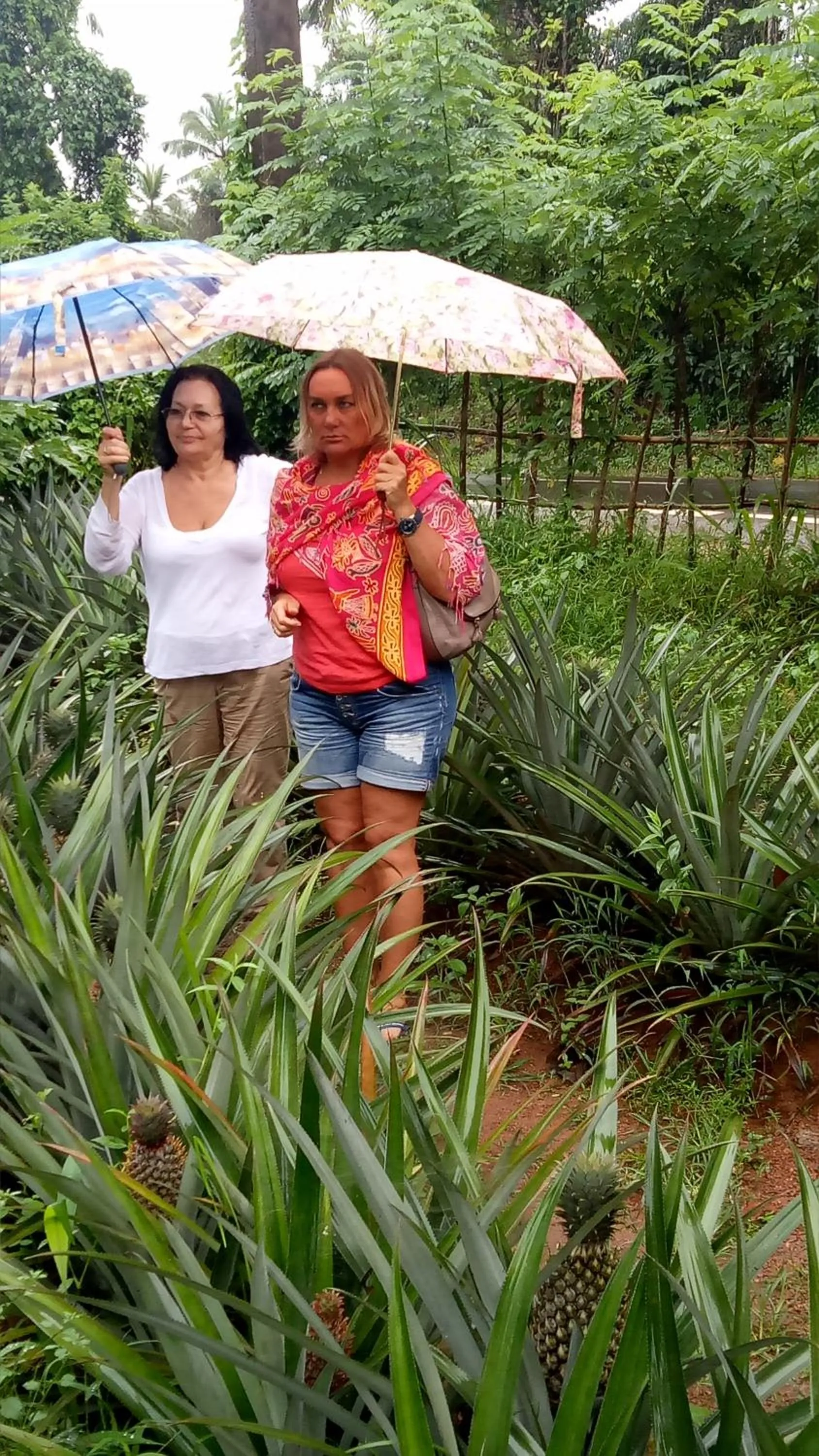 group of guests in Mahi Villa