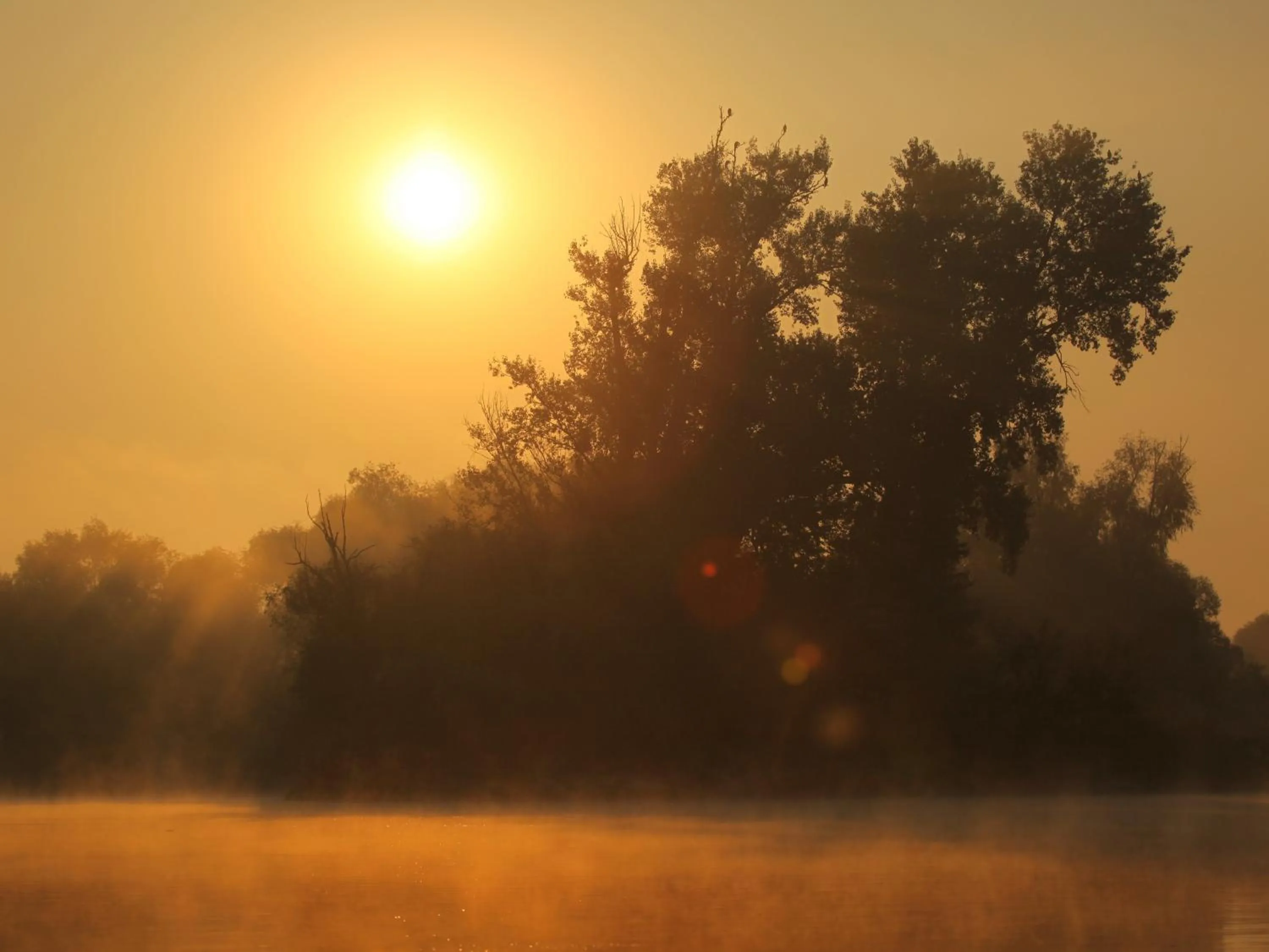 Natural landscape in Apartments Vrata Baranje