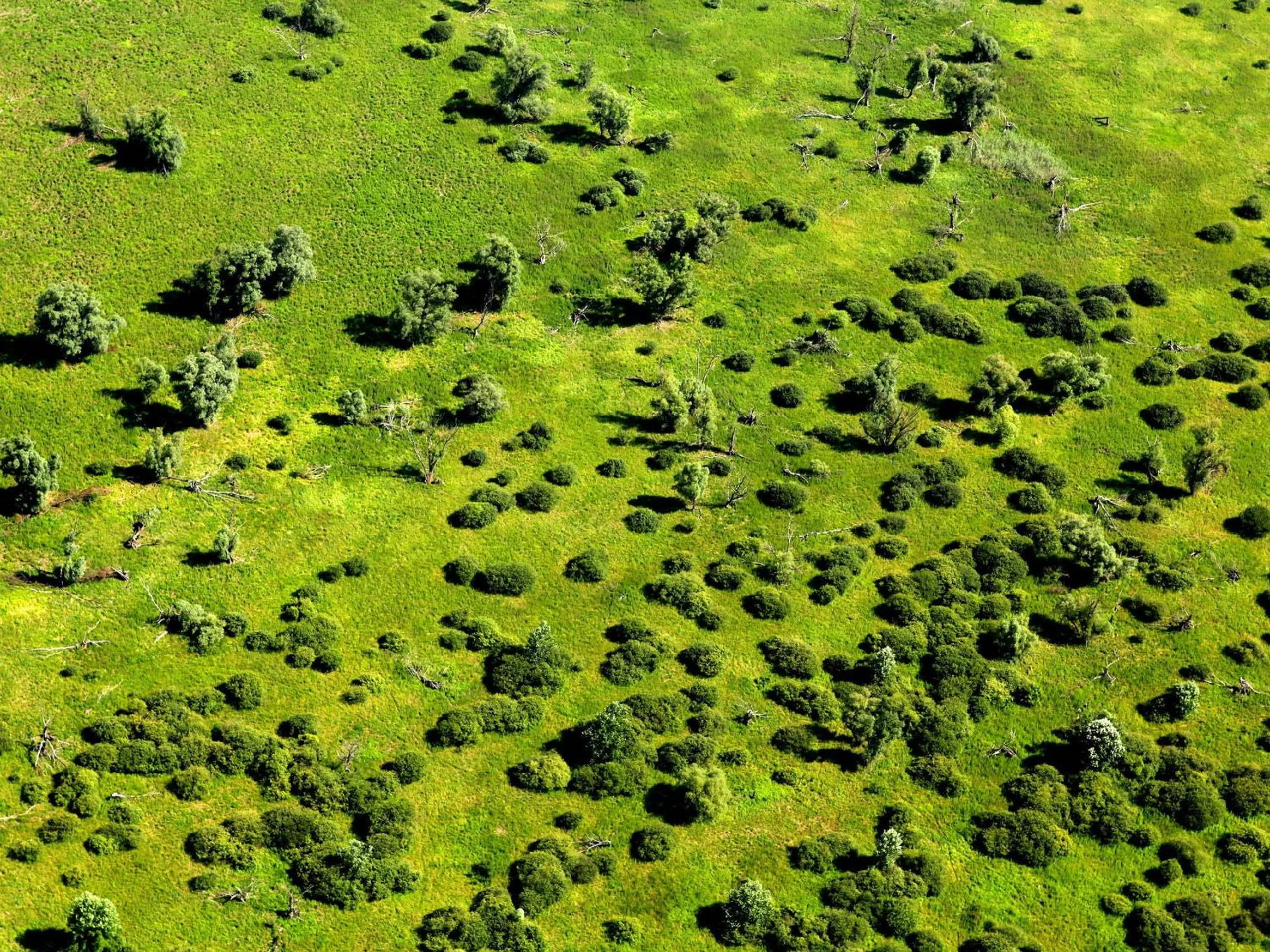 Natural landscape in Apartments Vrata Baranje