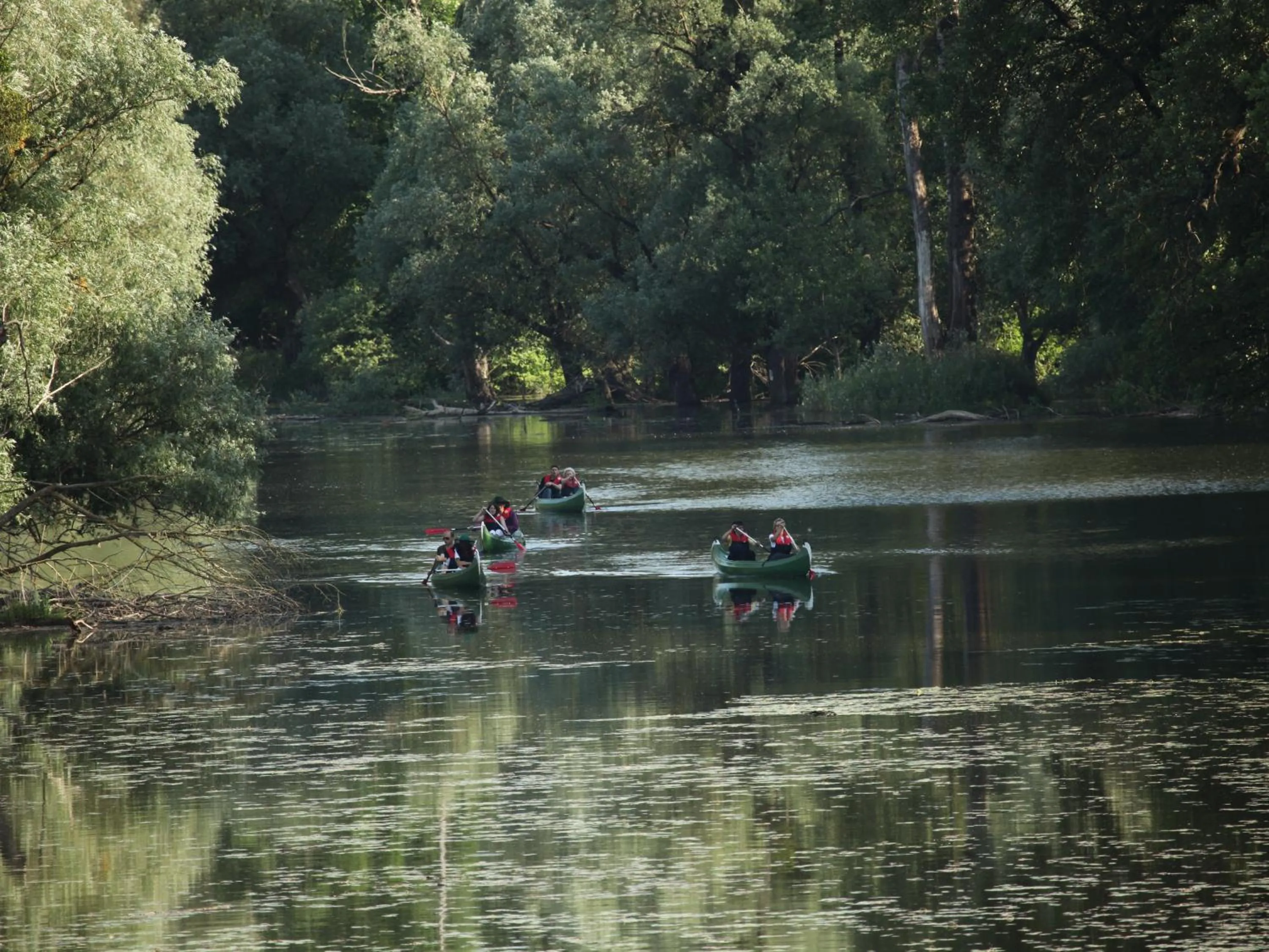 Canoeing in Apartments Vrata Baranje