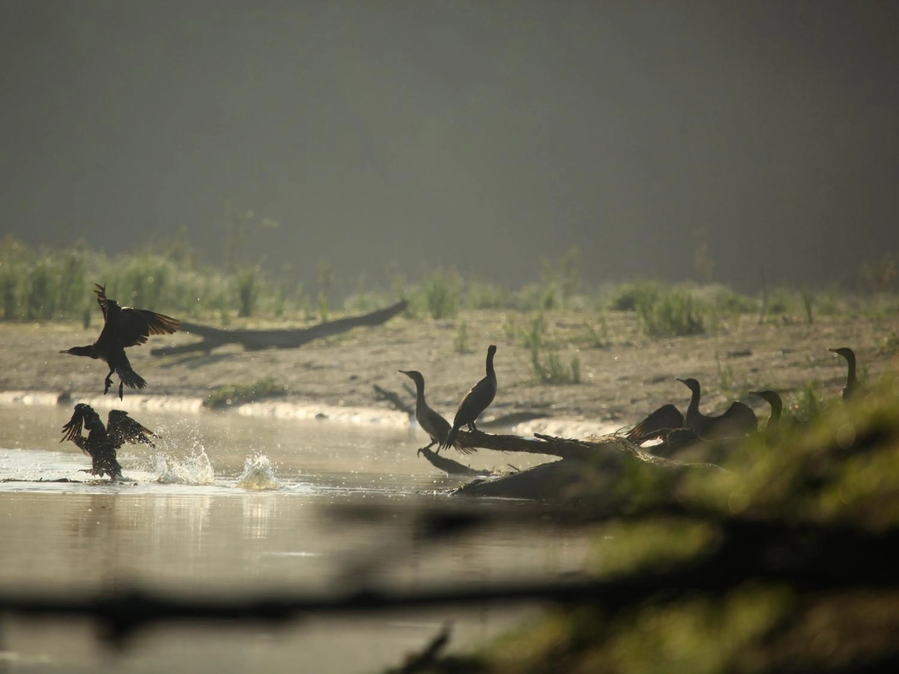 Natural landscape in Apartments Vrata Baranje
