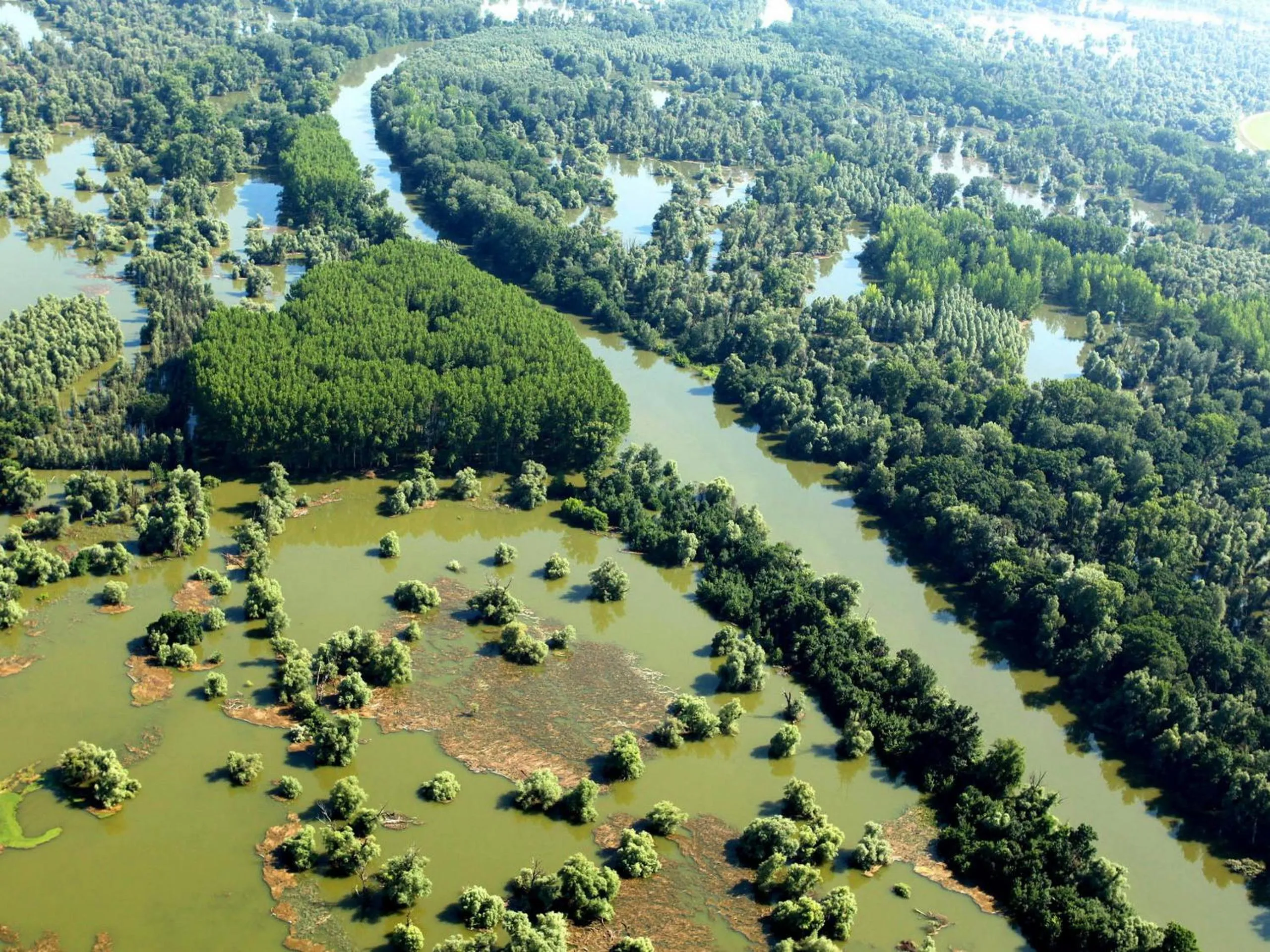 Natural landscape in Apartments Vrata Baranje